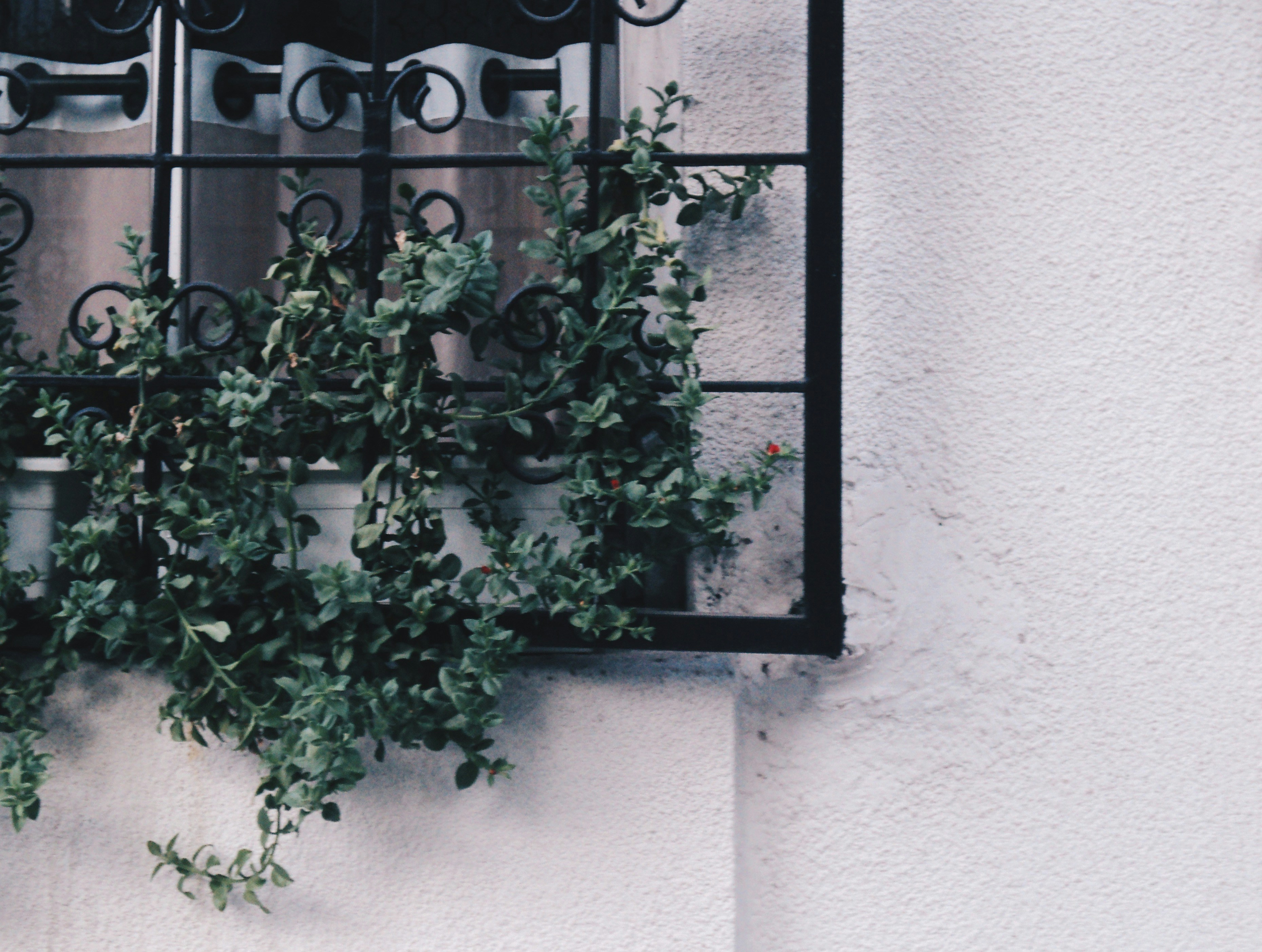 Photo by mdrezajalali