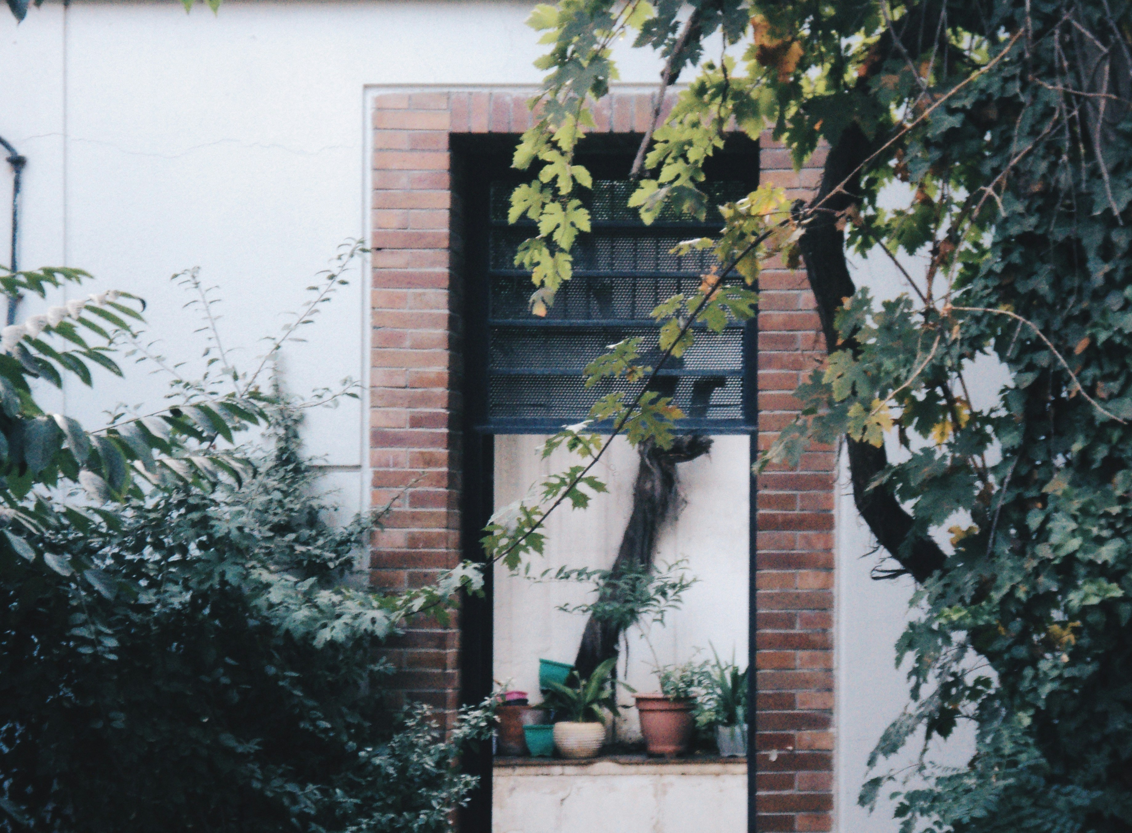 Photo by mdrezajalali