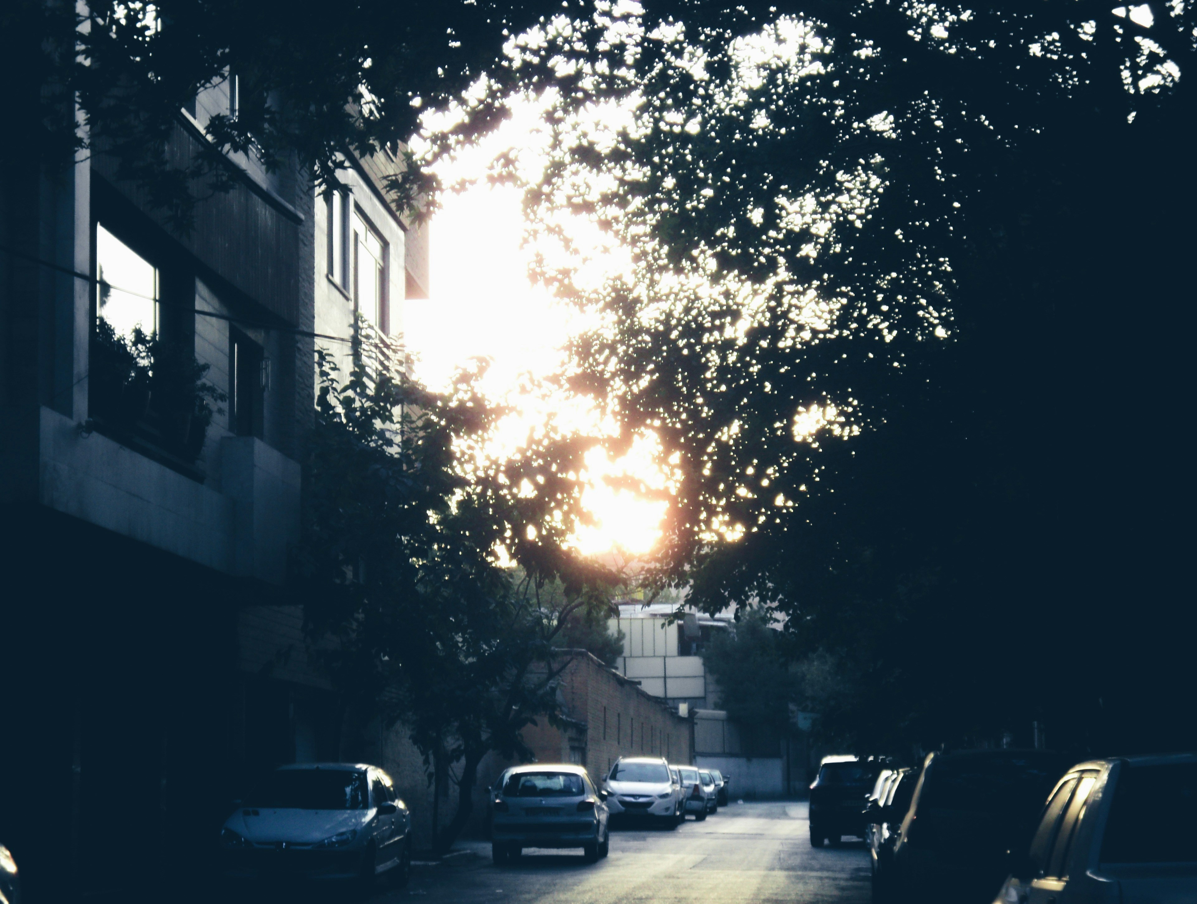 Photo by mdrezajalali