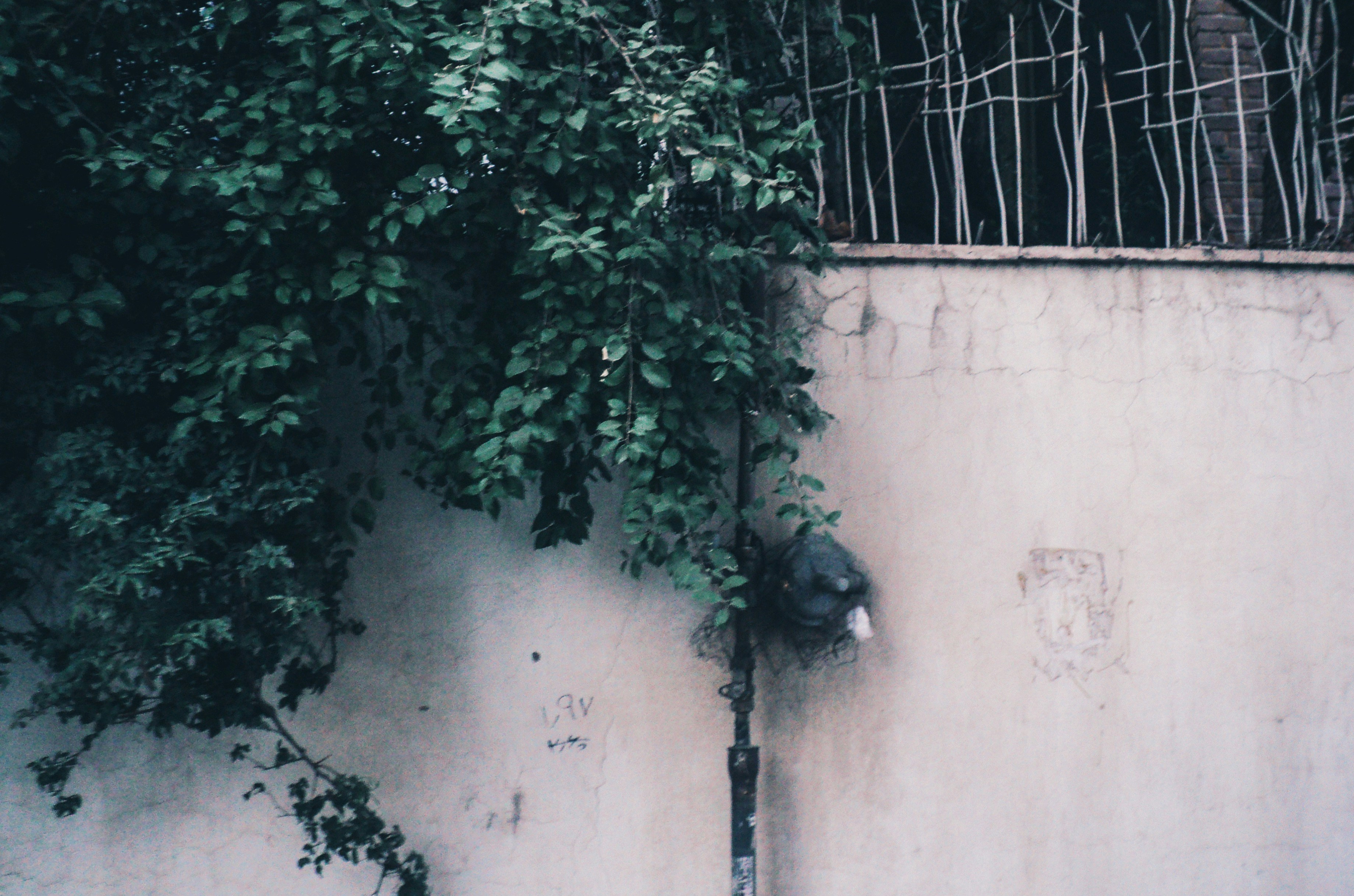 Photo by mdrezajalali