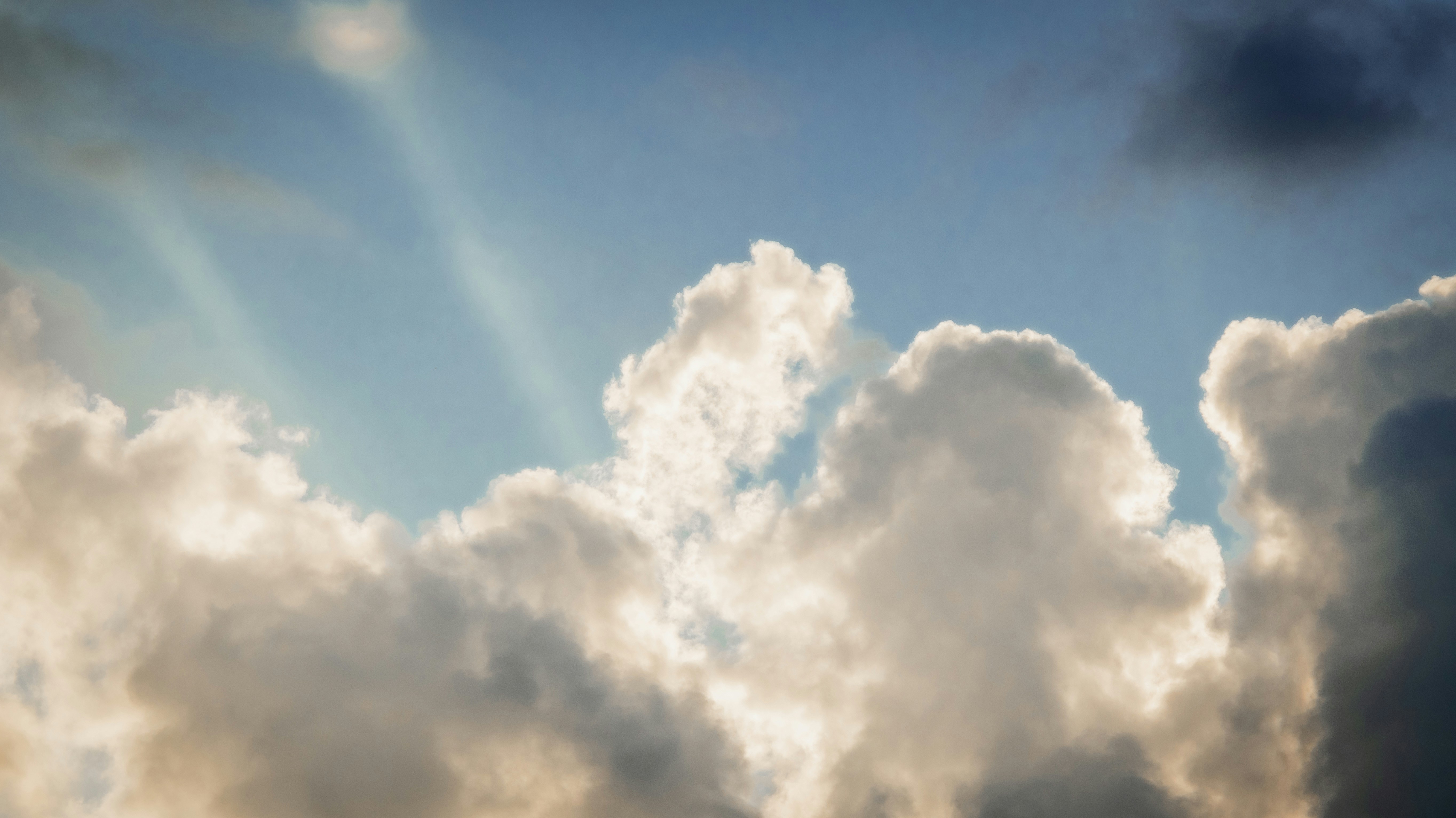 Photo by ttokttak_noir