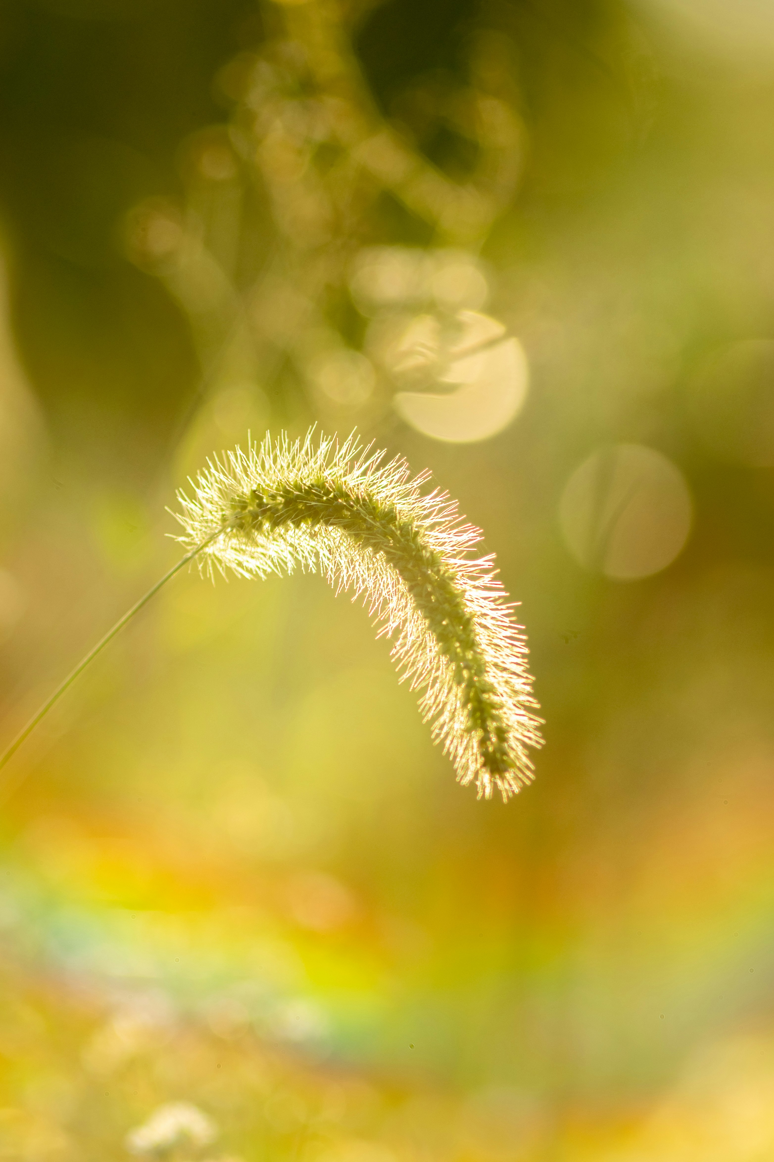 Photo by ttokttak_noir