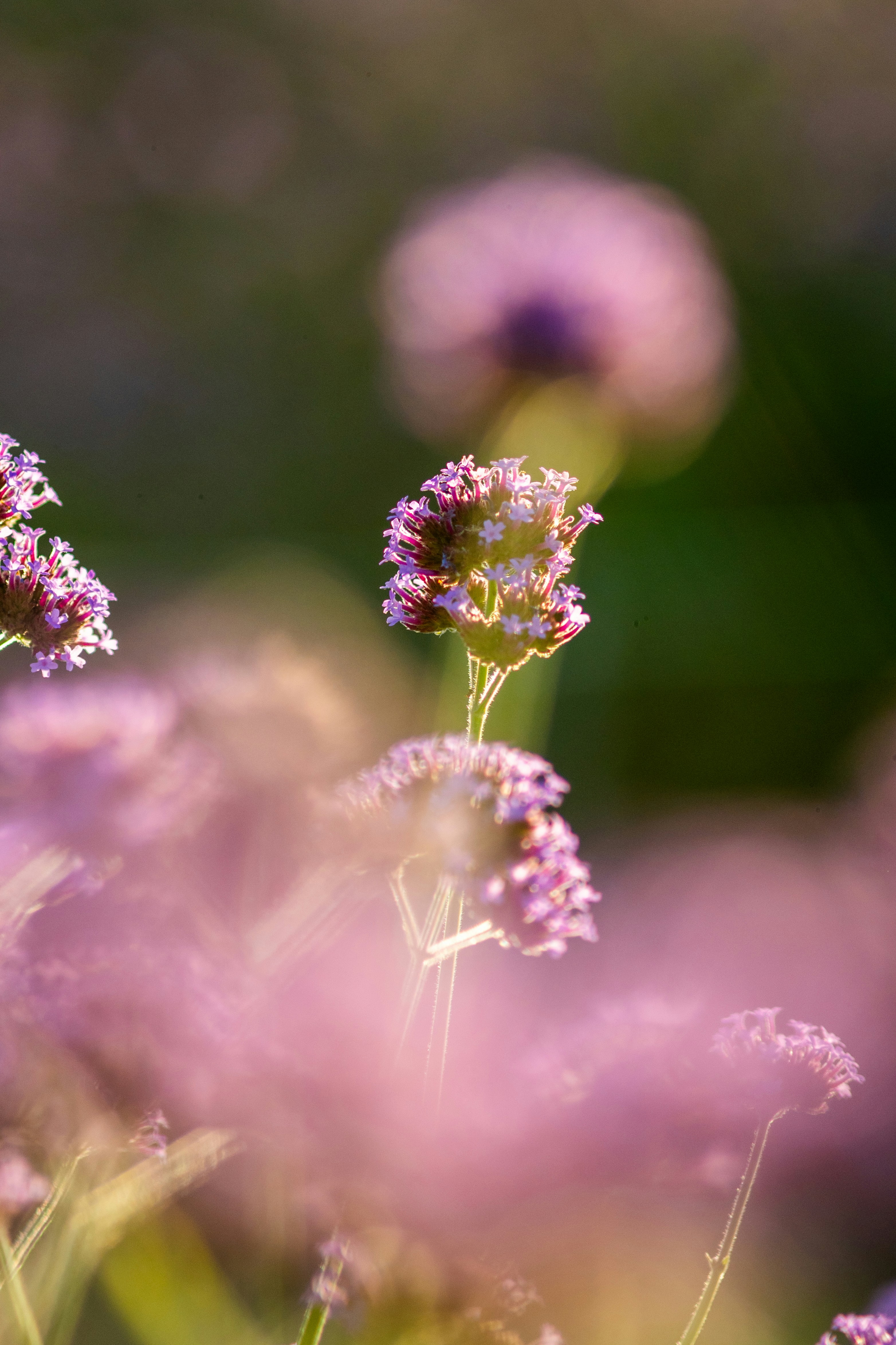 Photo by ttokttak_noir