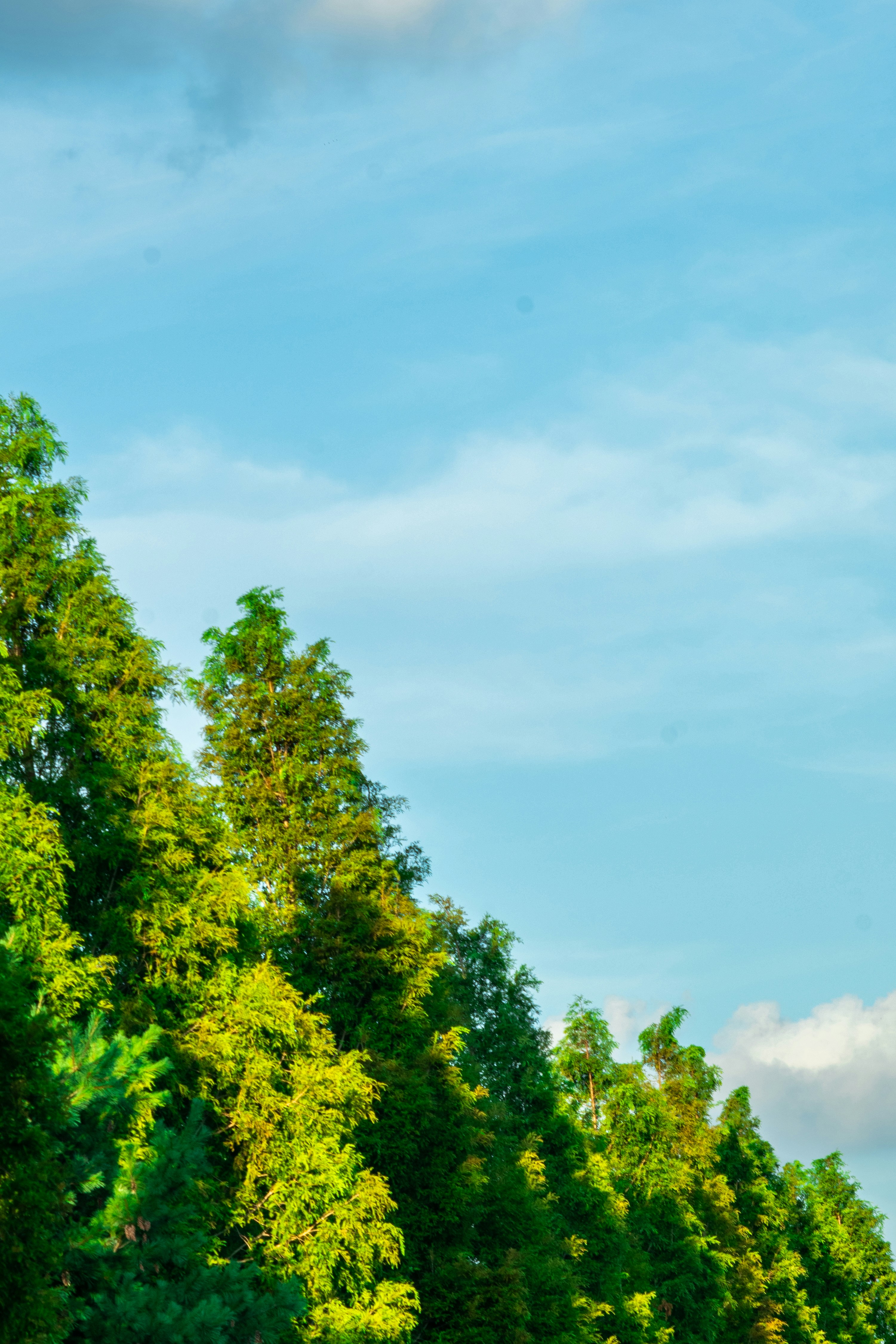 Photo by ttokttak_noir