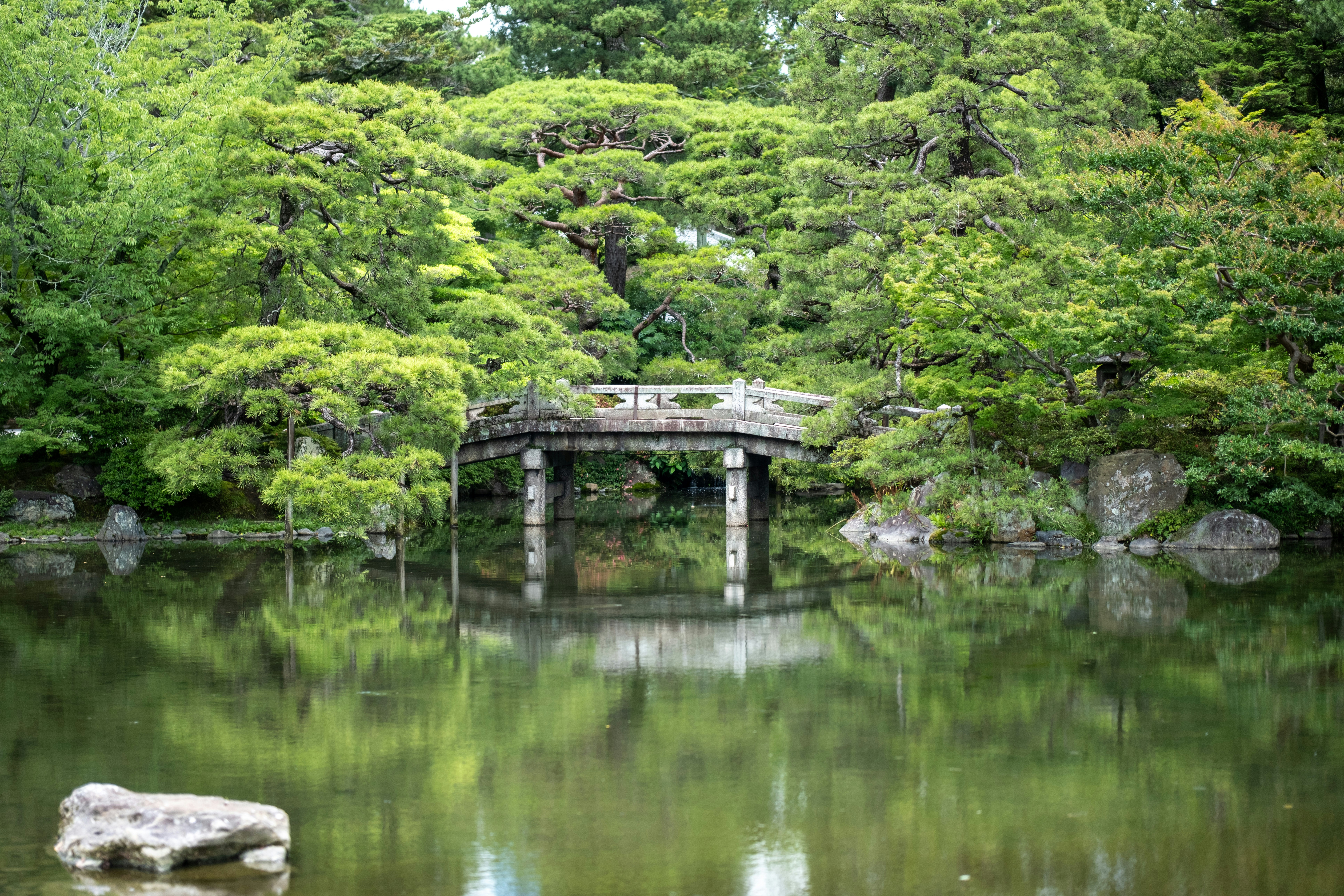 Stone bridge over a tranquil pond in a lush garden