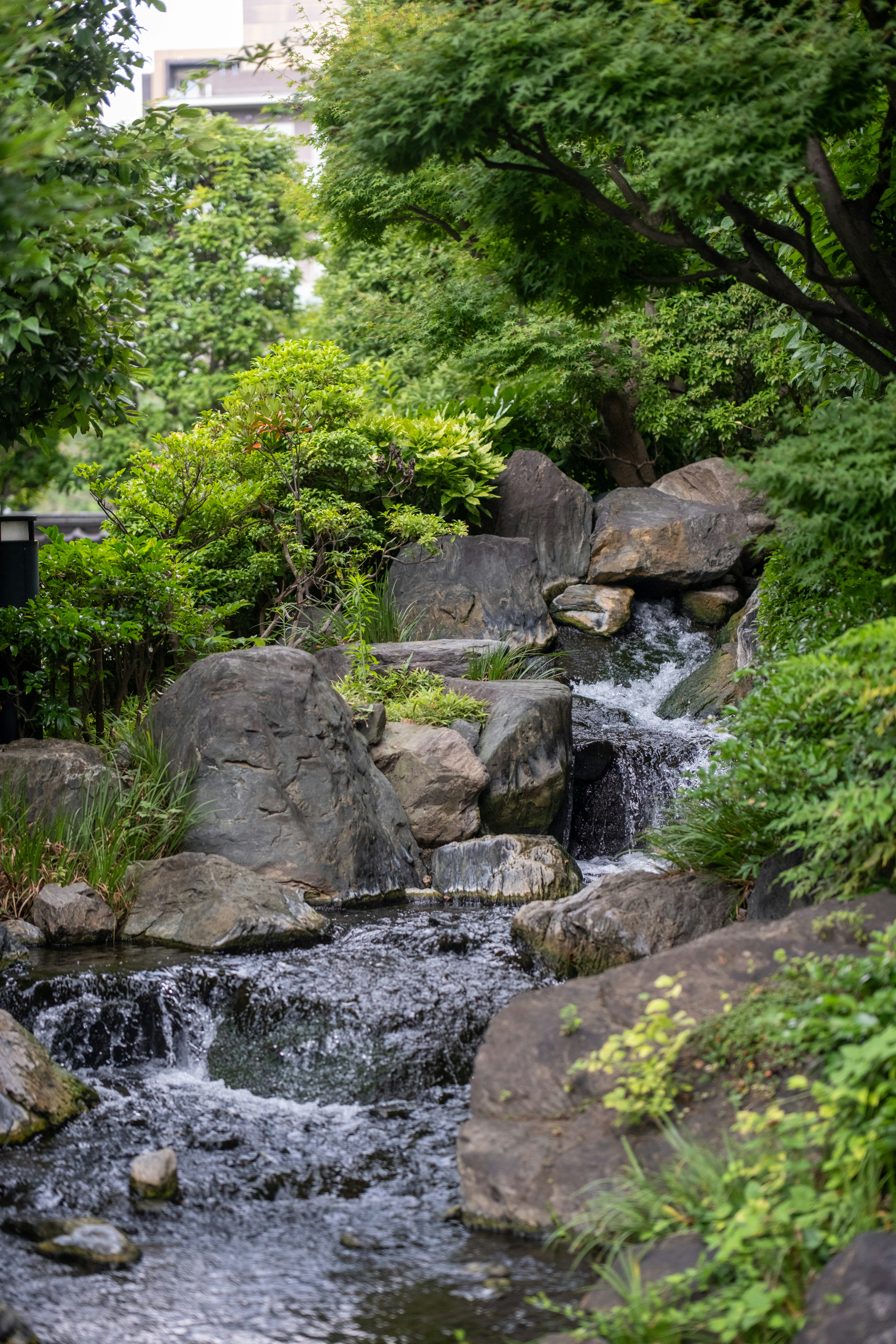 A small waterfall cascades over rocks in a lush green garden.