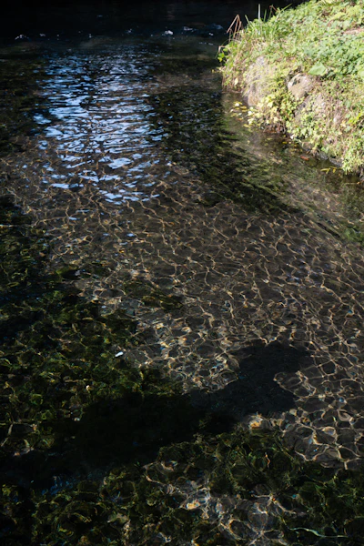 Clear river flowing over smooth rocks, the watershed as living system