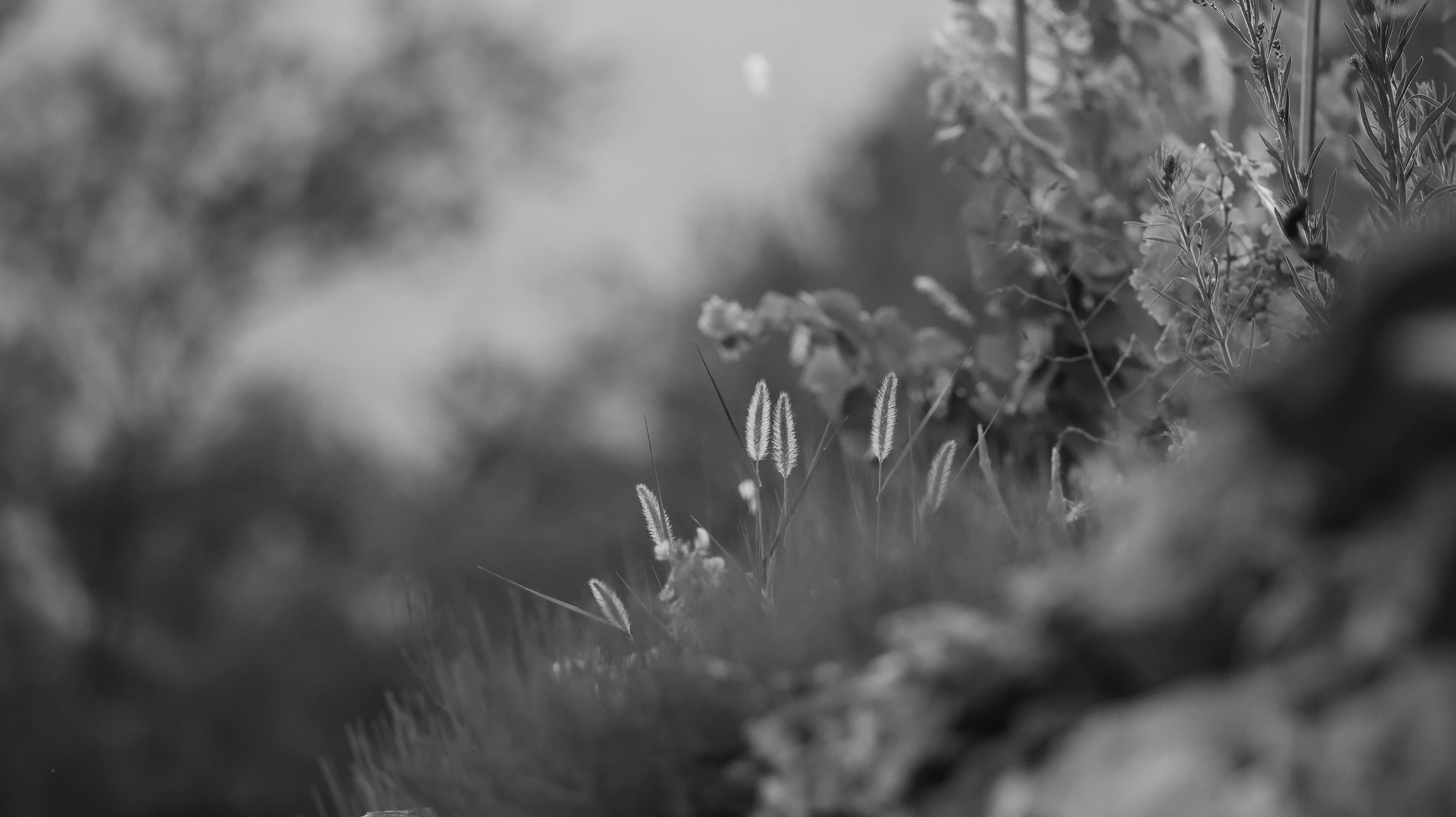 Photo by valomukitse