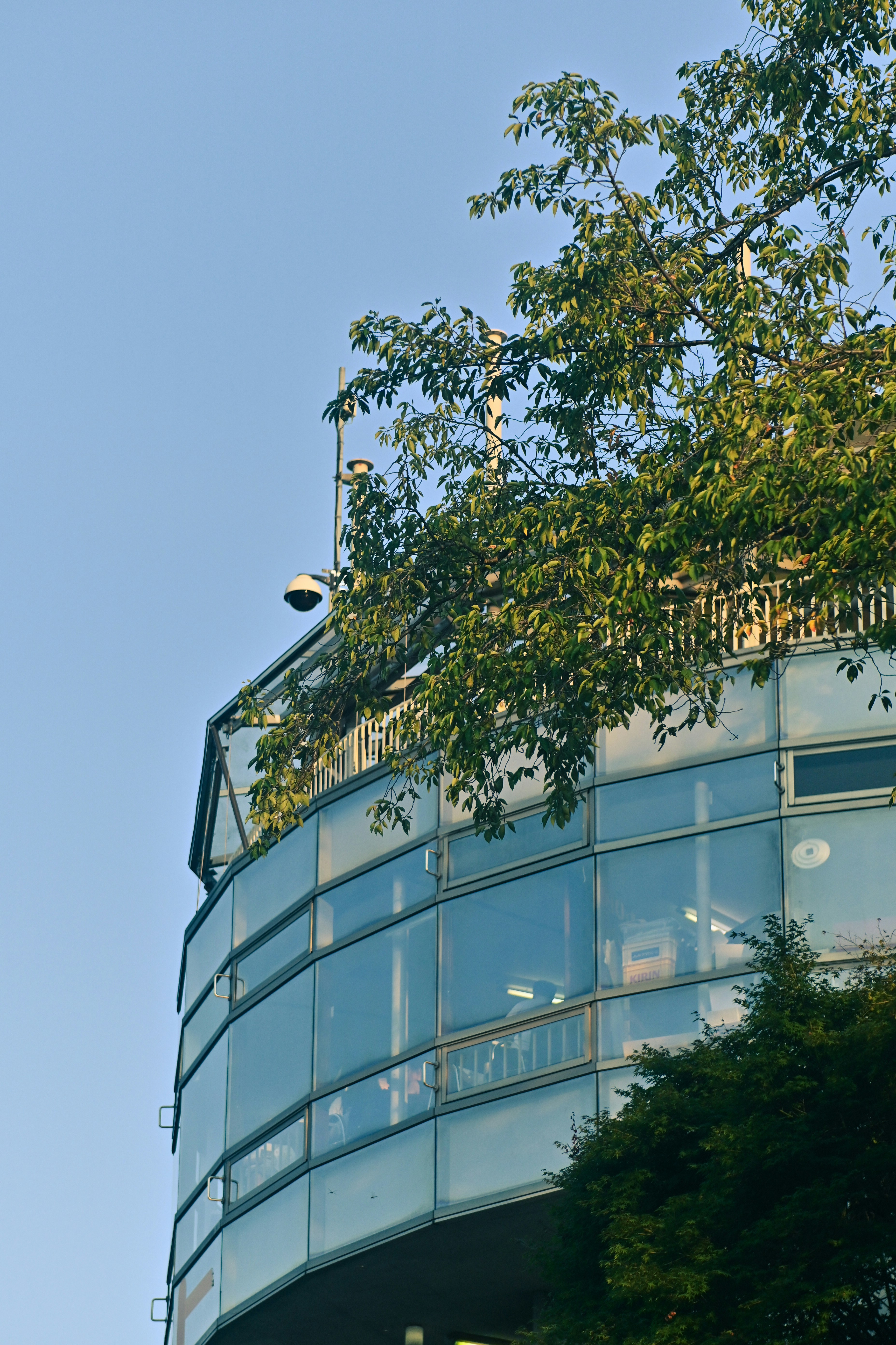 Photo by million_chopsticks