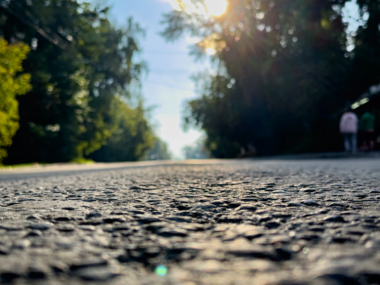 Person walking down a tree lined road at sunrise