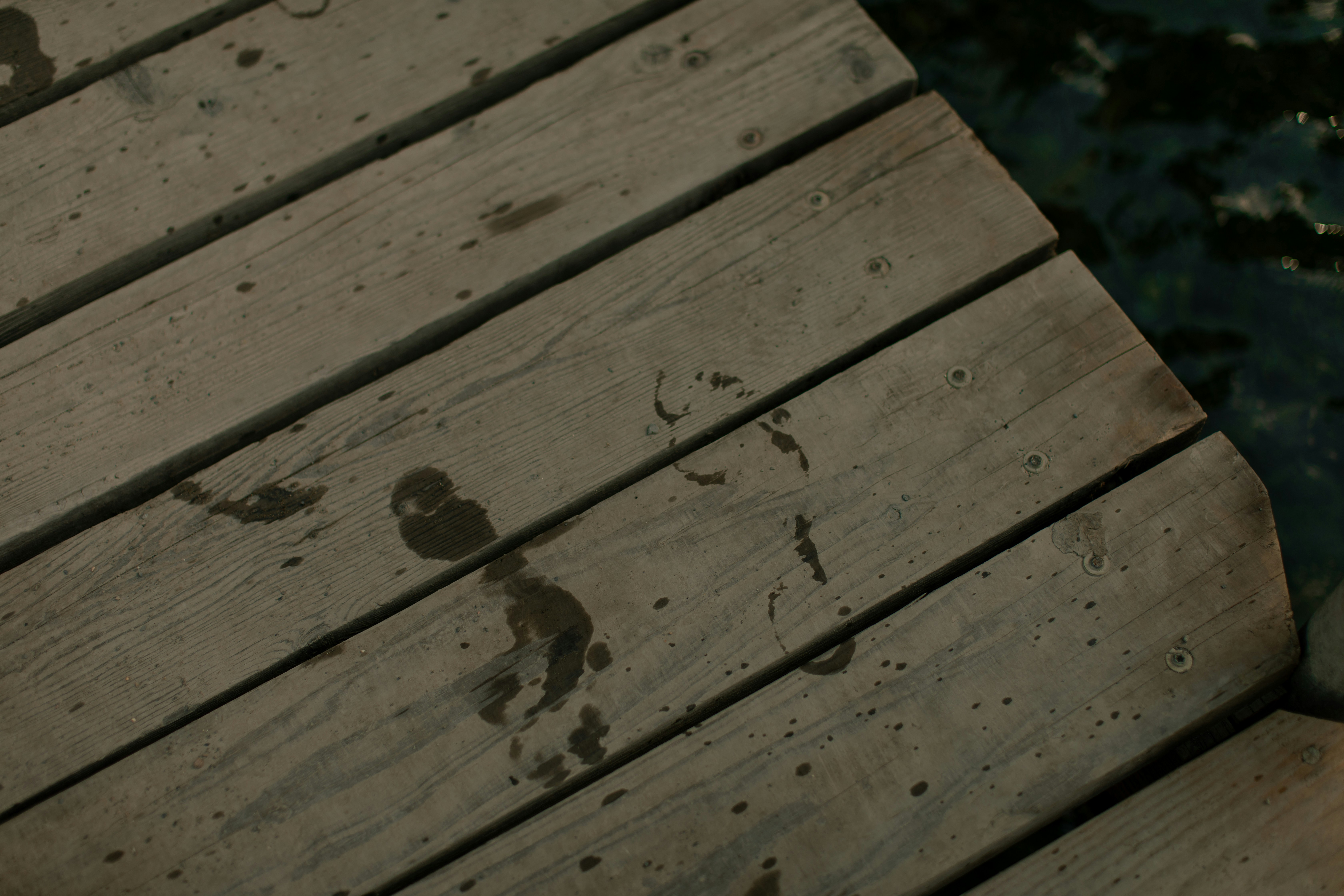 Wet footprints on a wooden dock near water