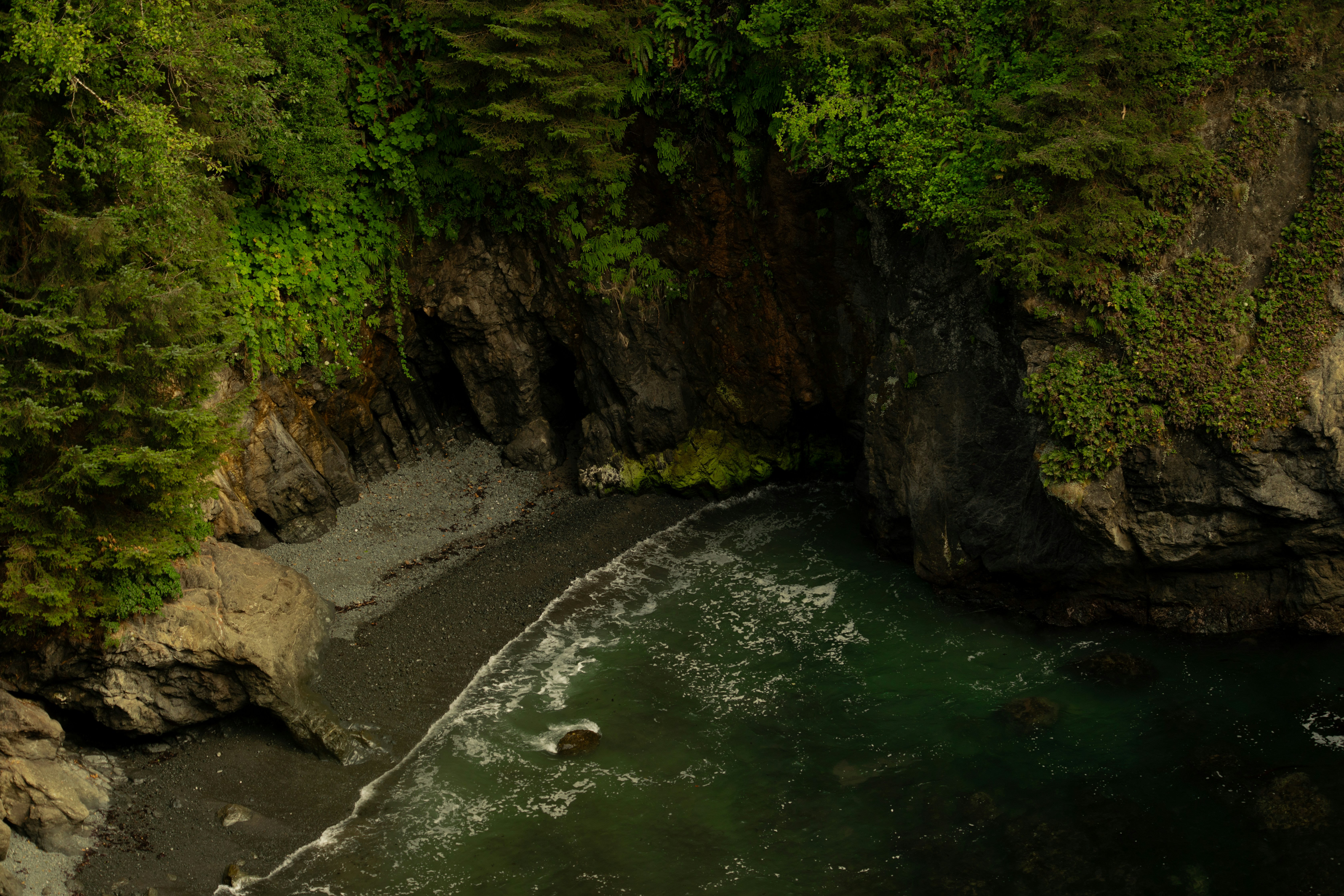 Rocky coastline with lush green trees and ocean waves.