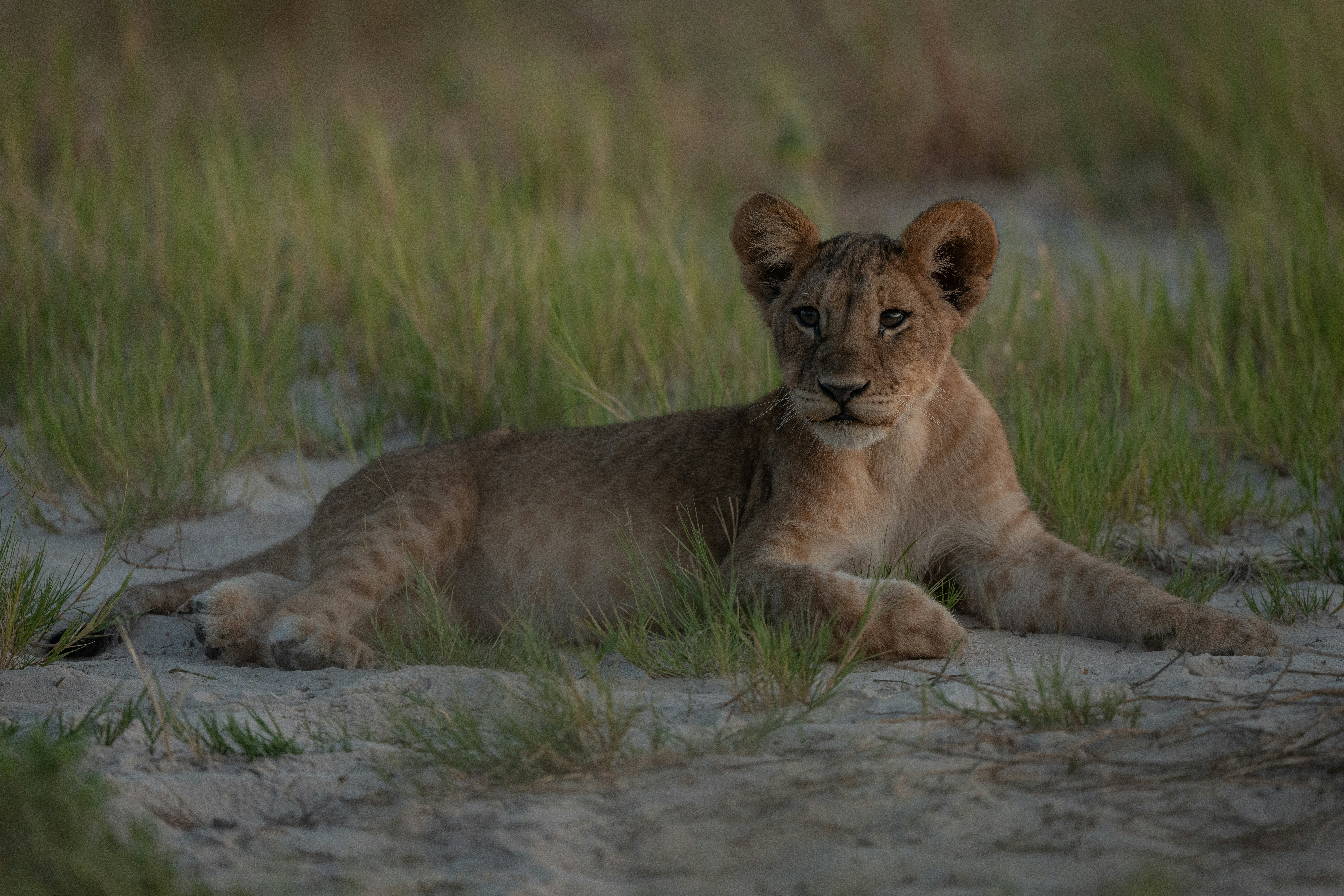 Natural Approaches For Persistent Ailment Monitoring: The Support Of Integrative Health In Getting Long-Term Health