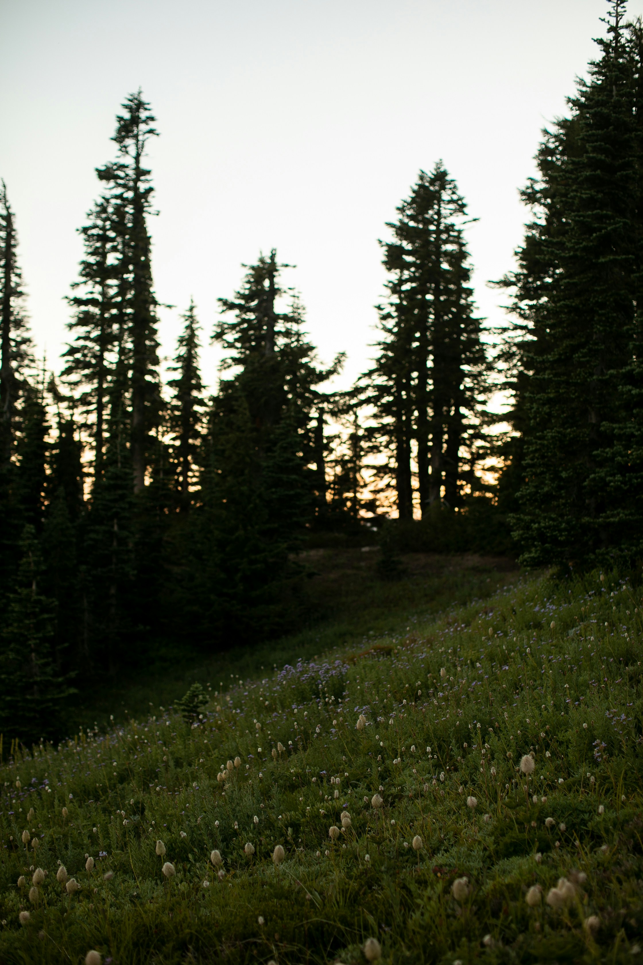 Post two Post feature image