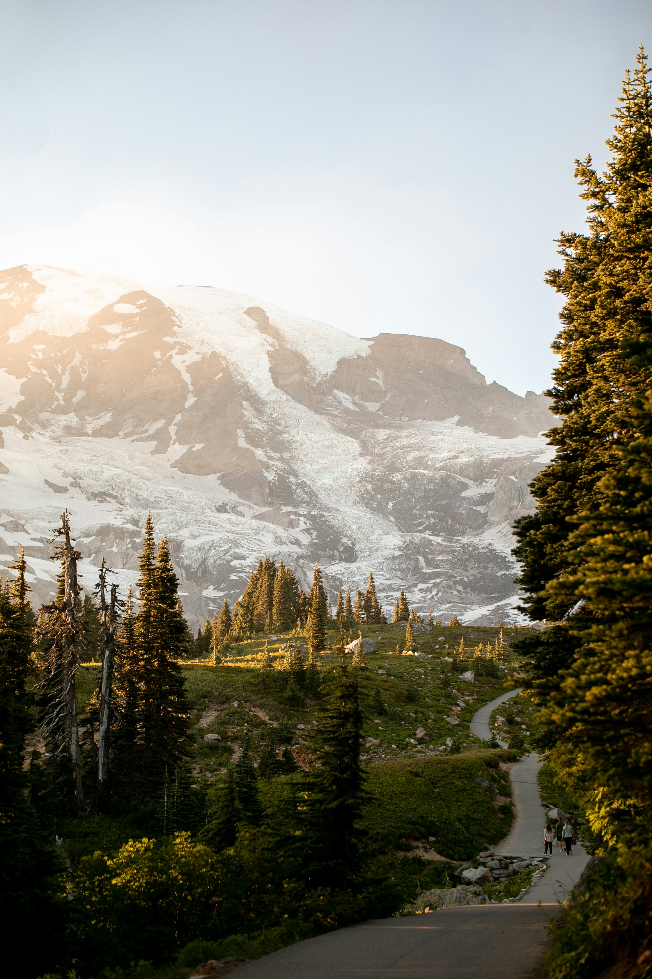 A winding path leads towards a snow-capped mountain.