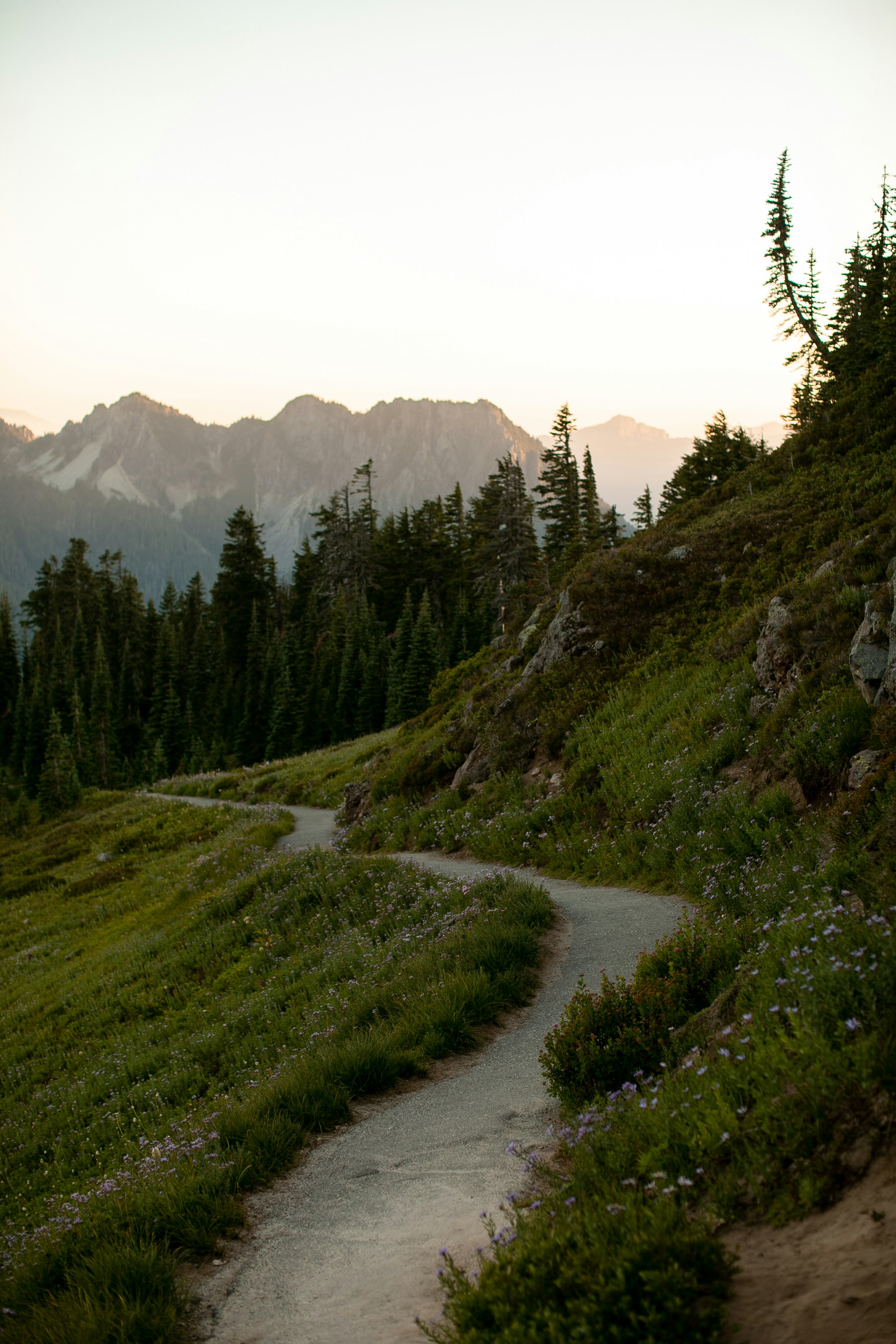 🗓️ Using August 23rd for Projects