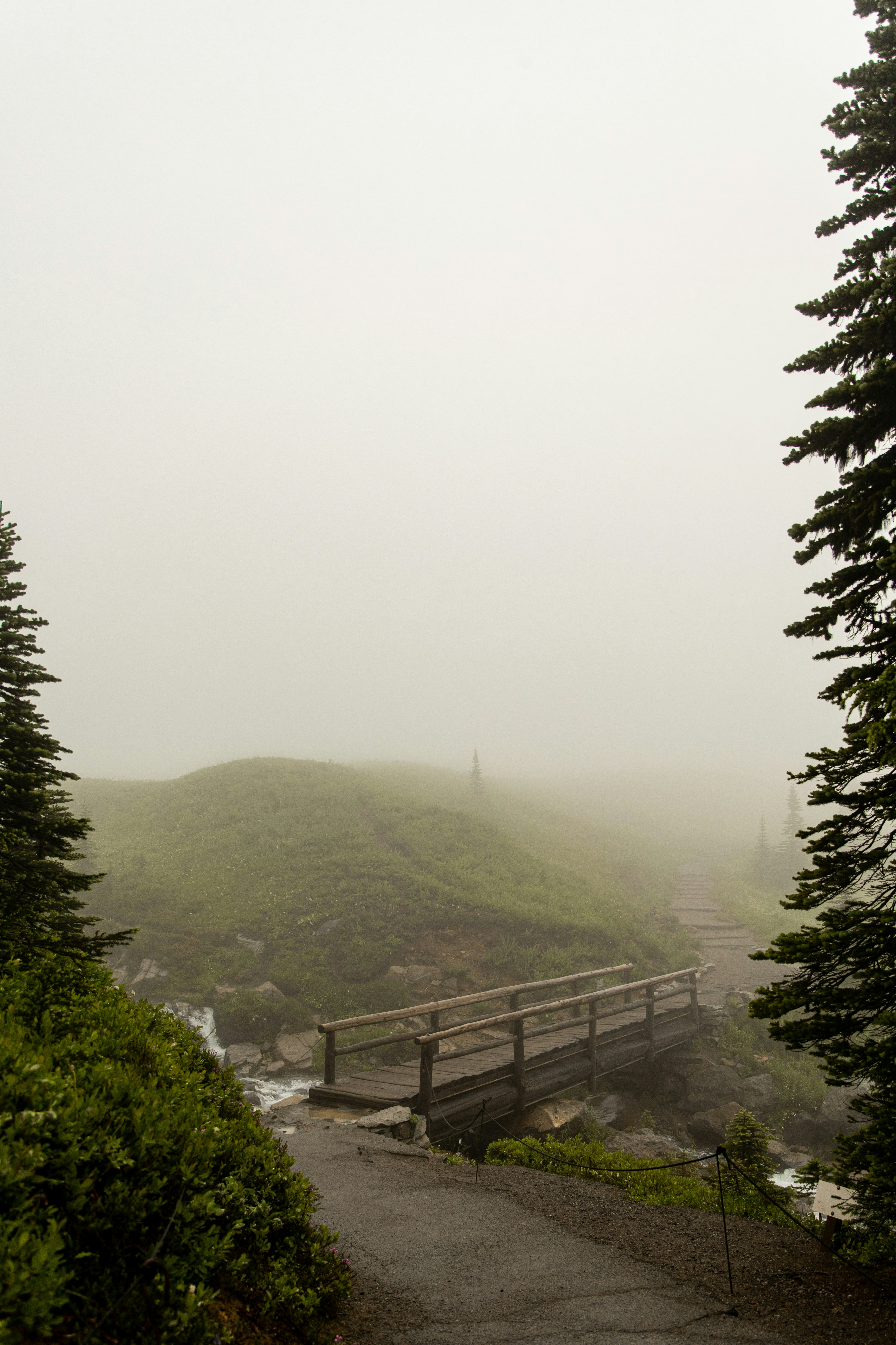 Wooden bridge over stream in foggy mountain landscape