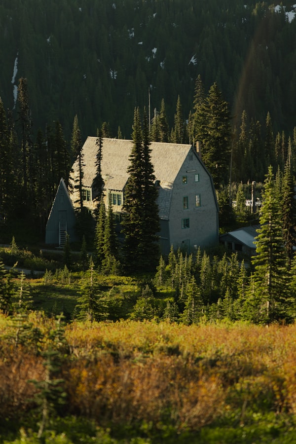 Luxury lodge nestled among tall ponderosa pines
