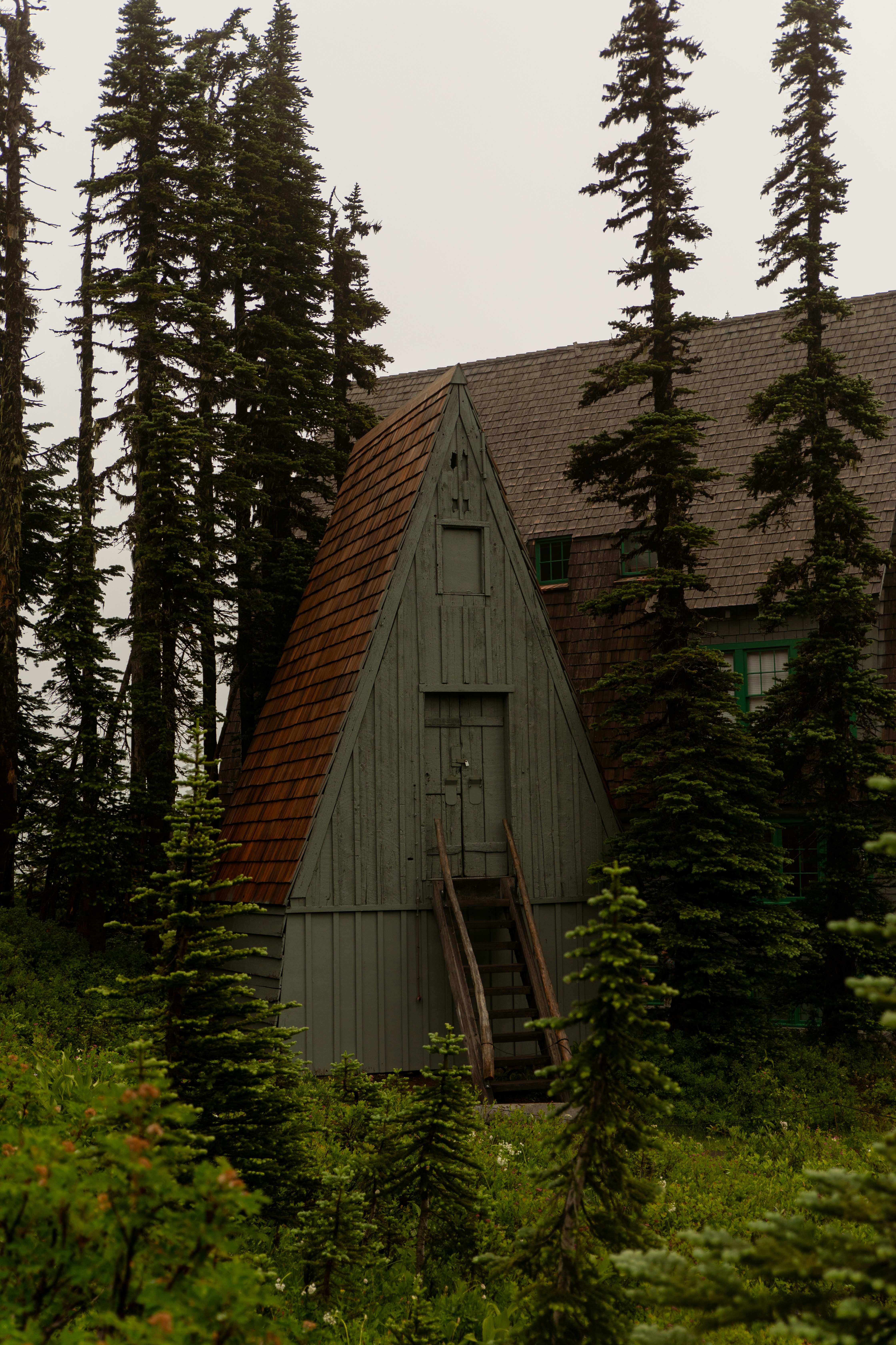 A-frame structure with stairs next to trees