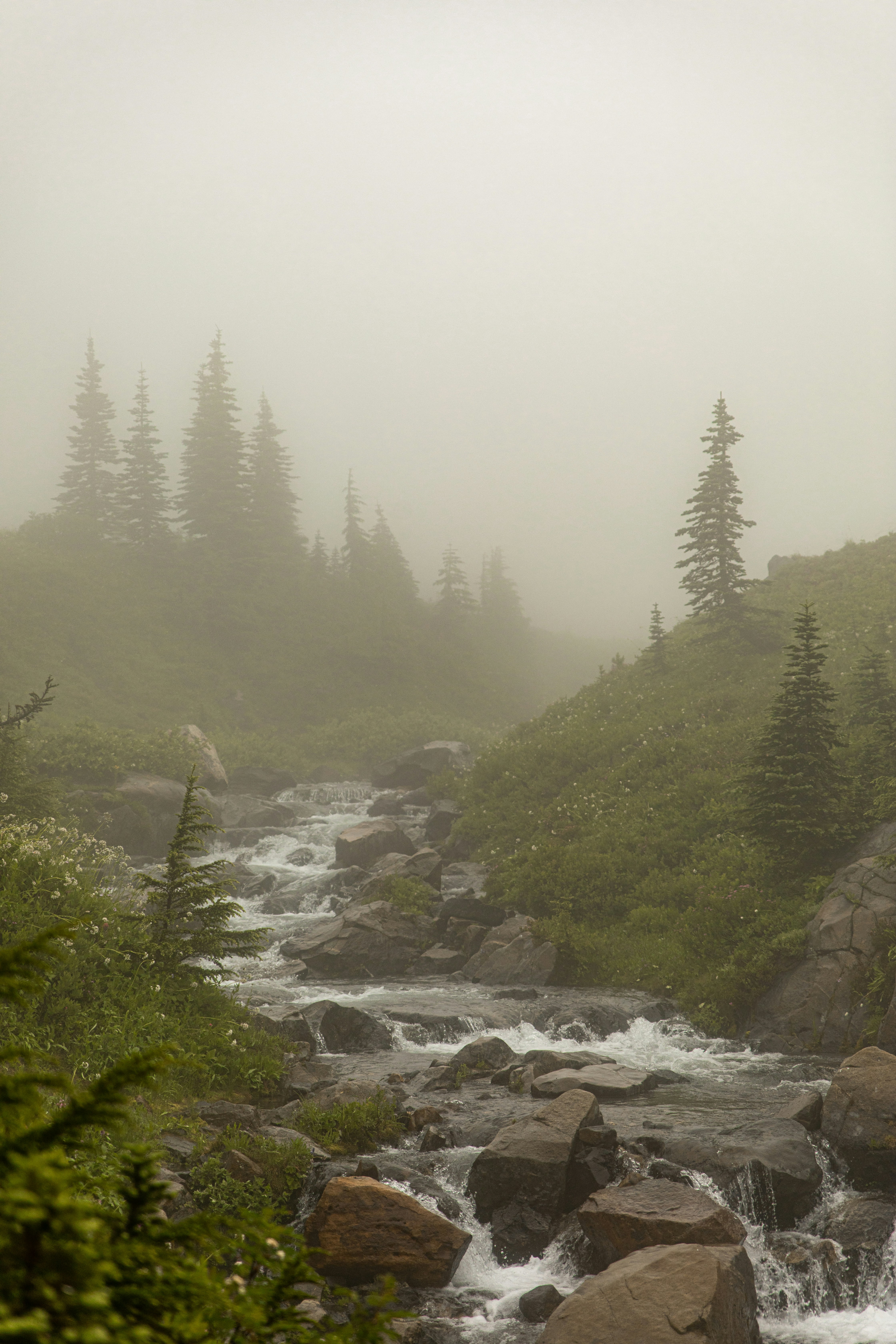 Misty mountain stream flowing through green forest