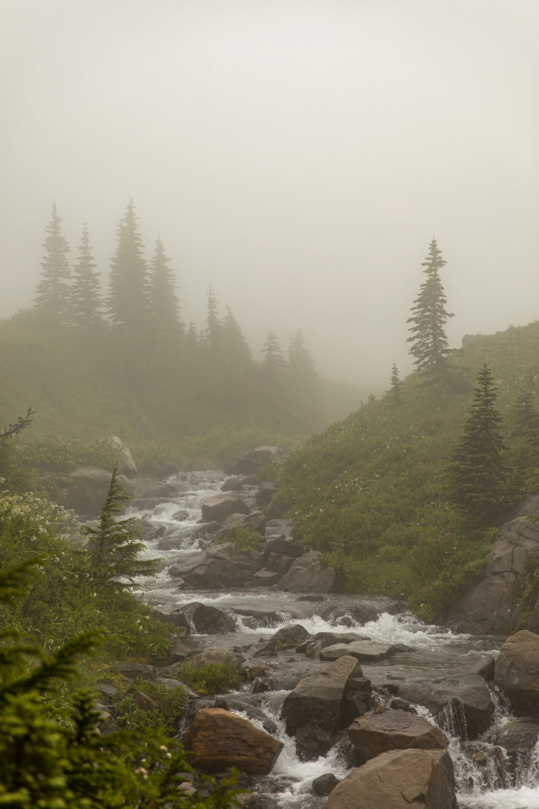 Misty mountain stream surrounded by evergreens and basalt rocks