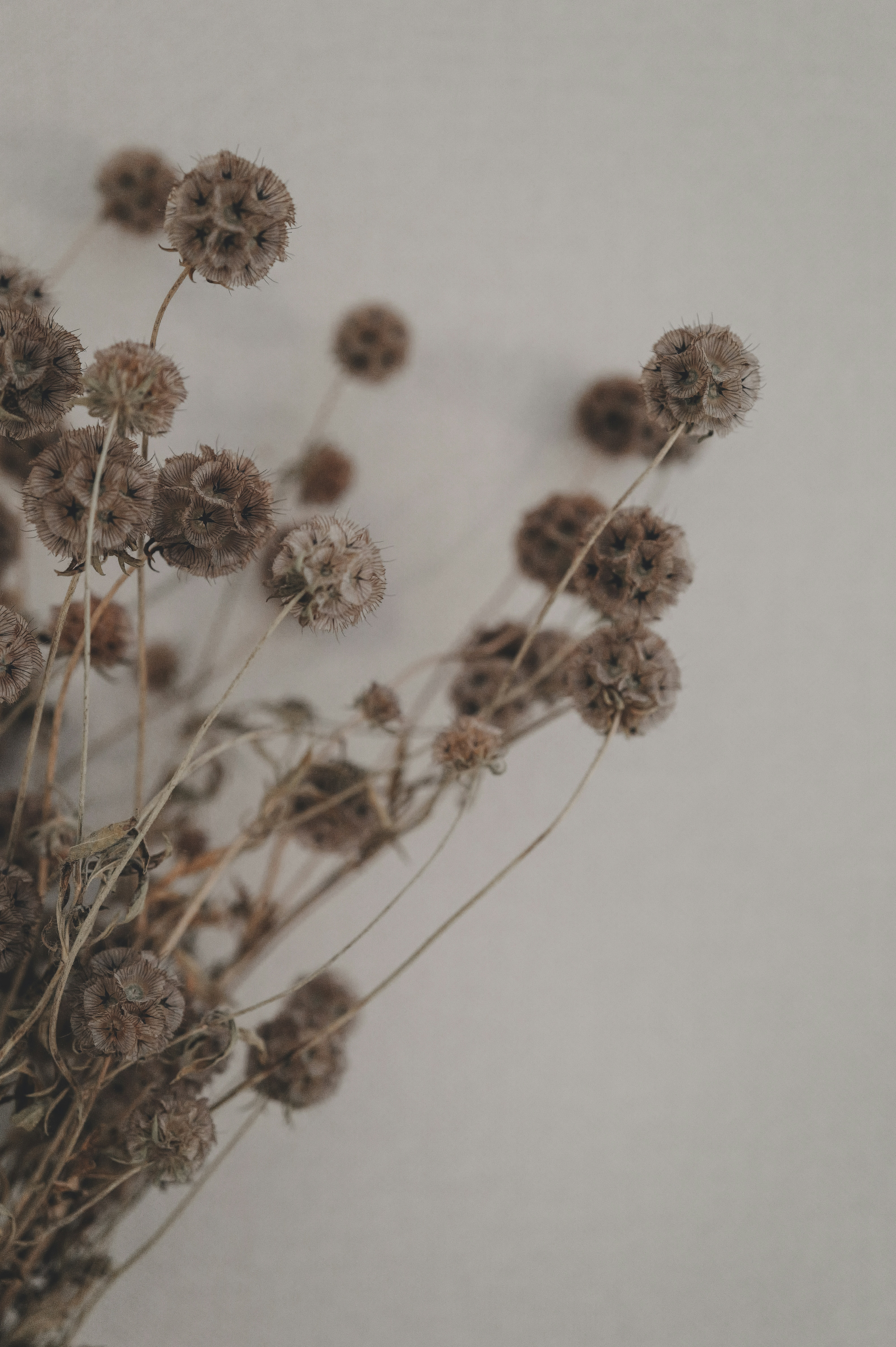 Photo by anyachernykh