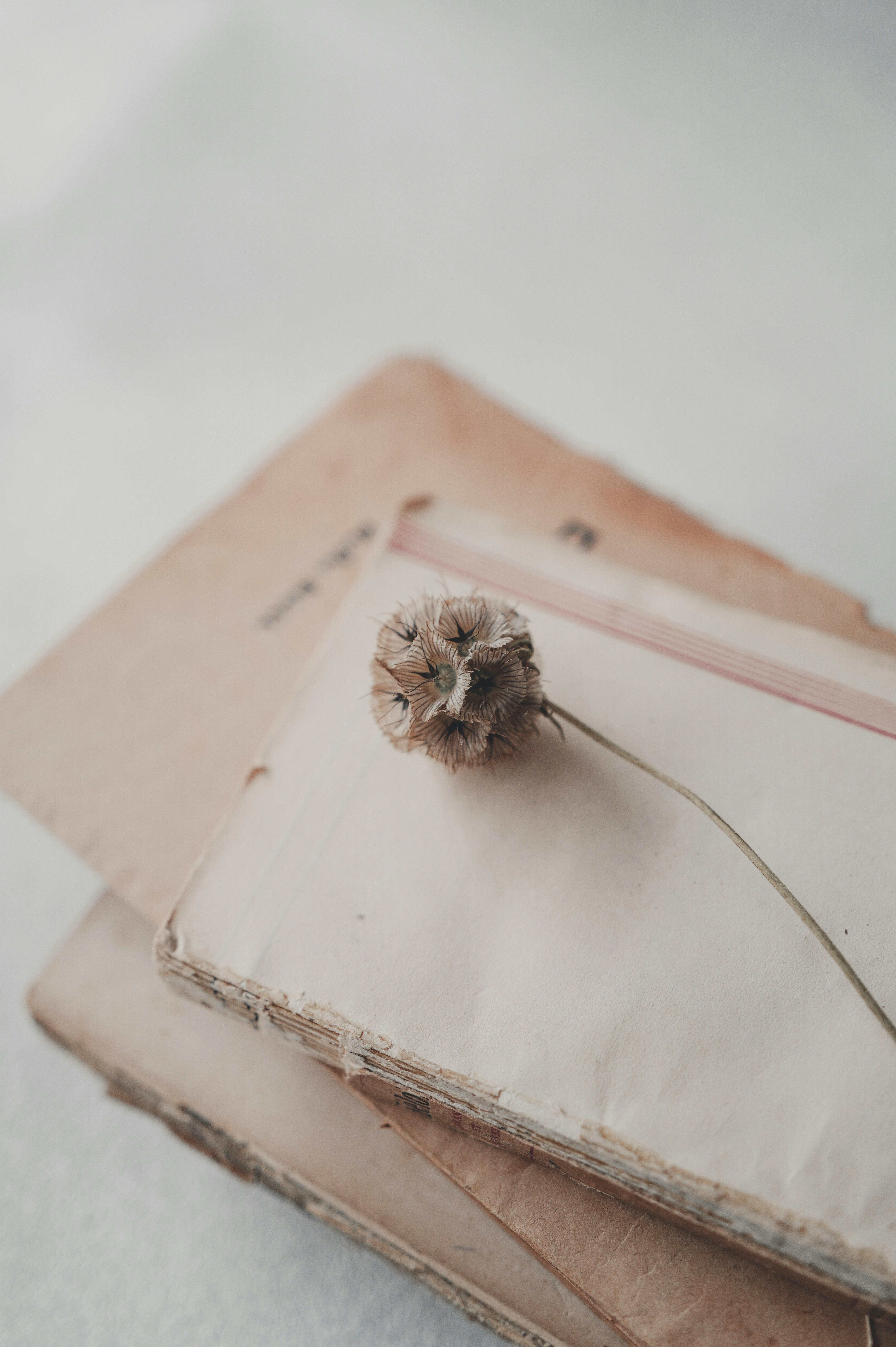 Photo by anyachernykh