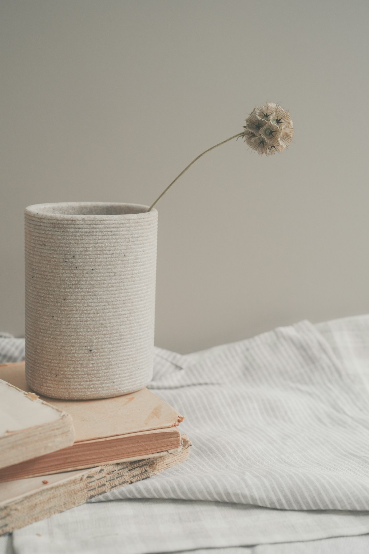 Estilo Wabi-Sabi na Decoração: Beleza na Imperfeição