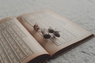Dried flowers rest on an open vintage book