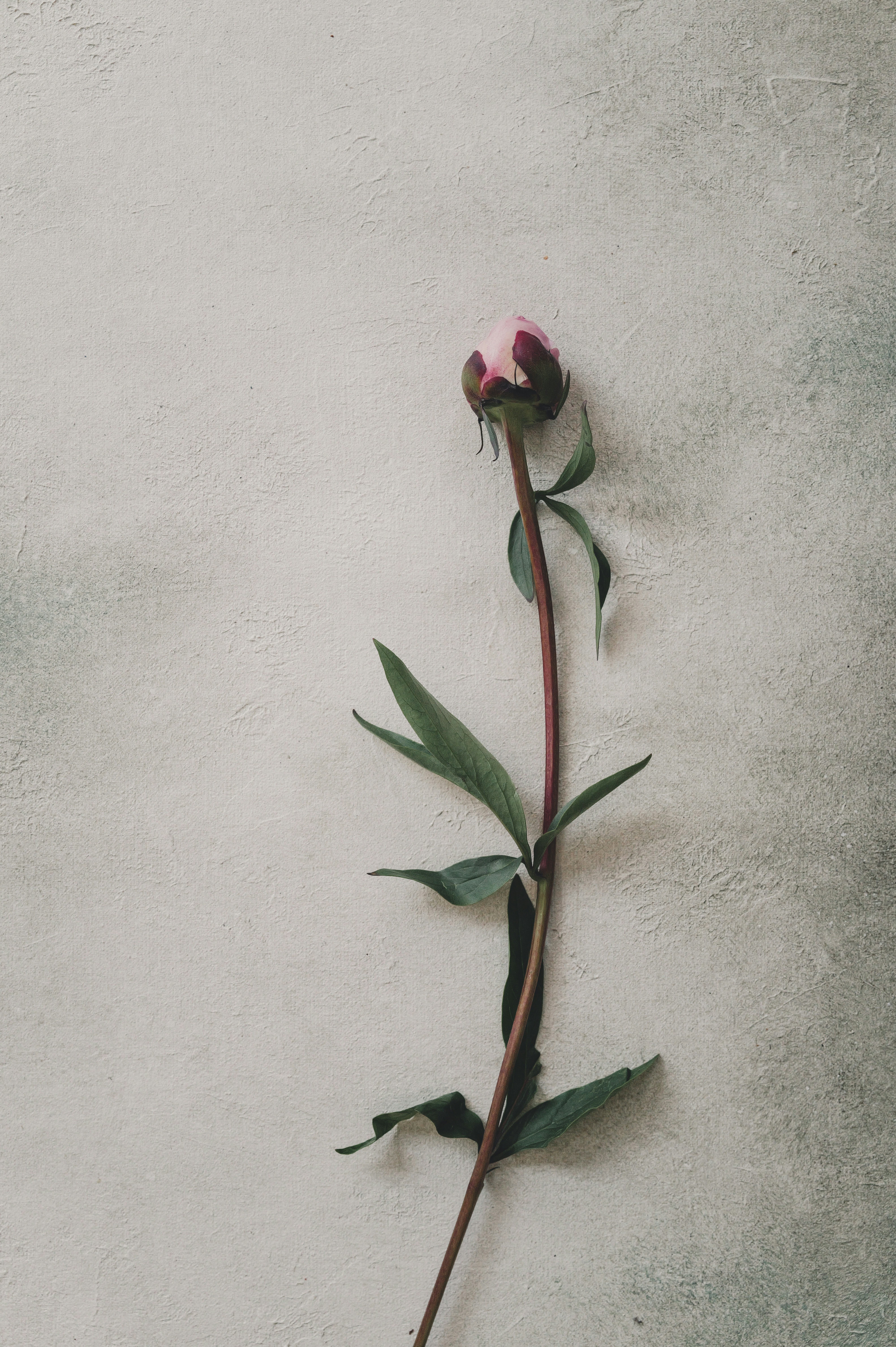 Photo by anyachernykh