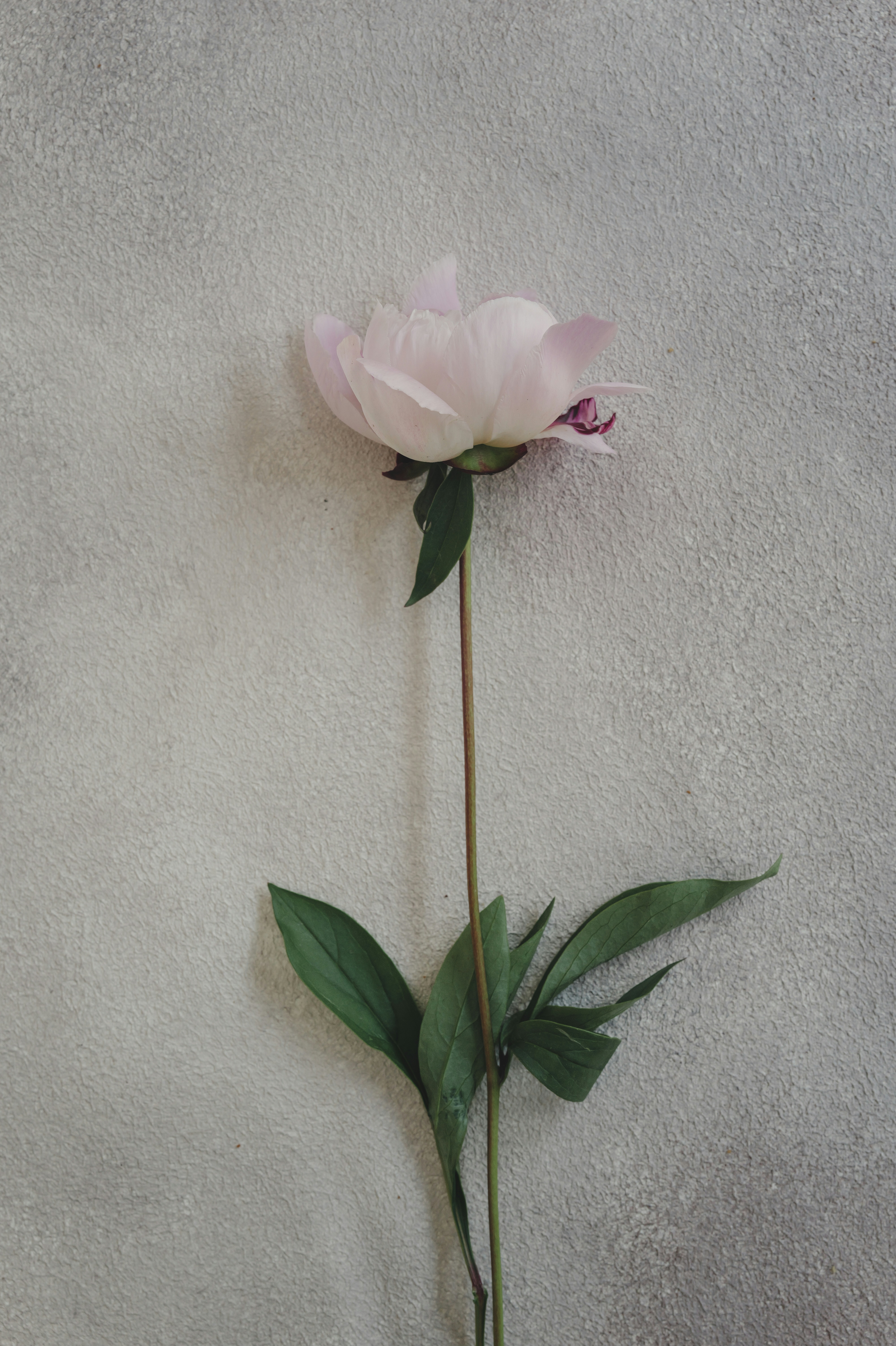 Photo by anyachernykh