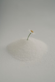 A single daisy emerges from a pile of white powder.