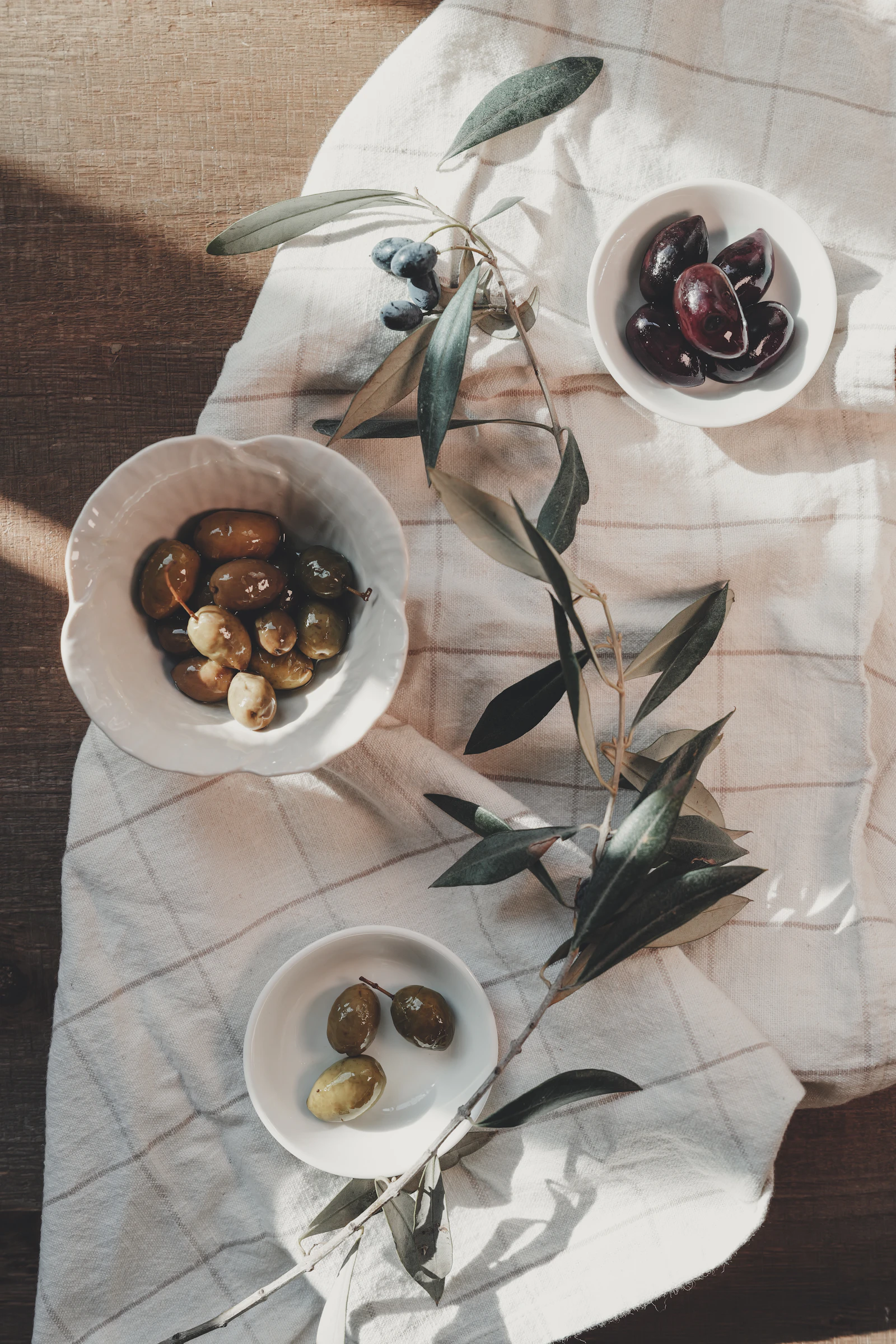 Oliven & Antipasti