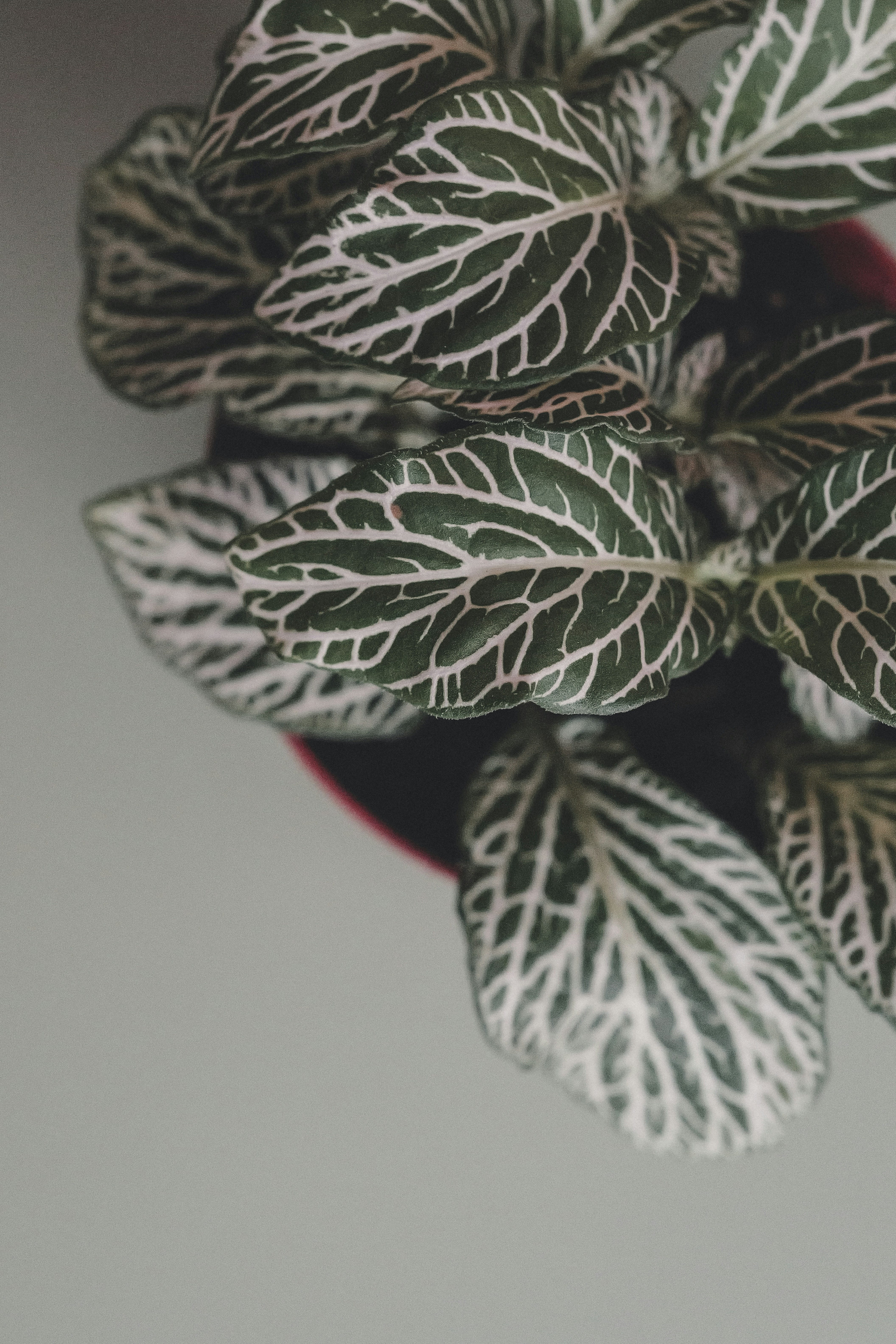 Photo by anyachernykh