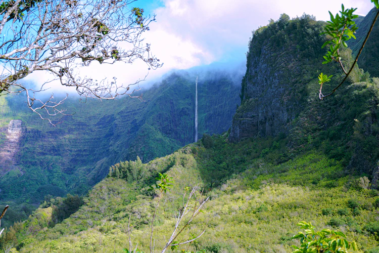 Tropical Plantation & Iao Valley Tour photo 2