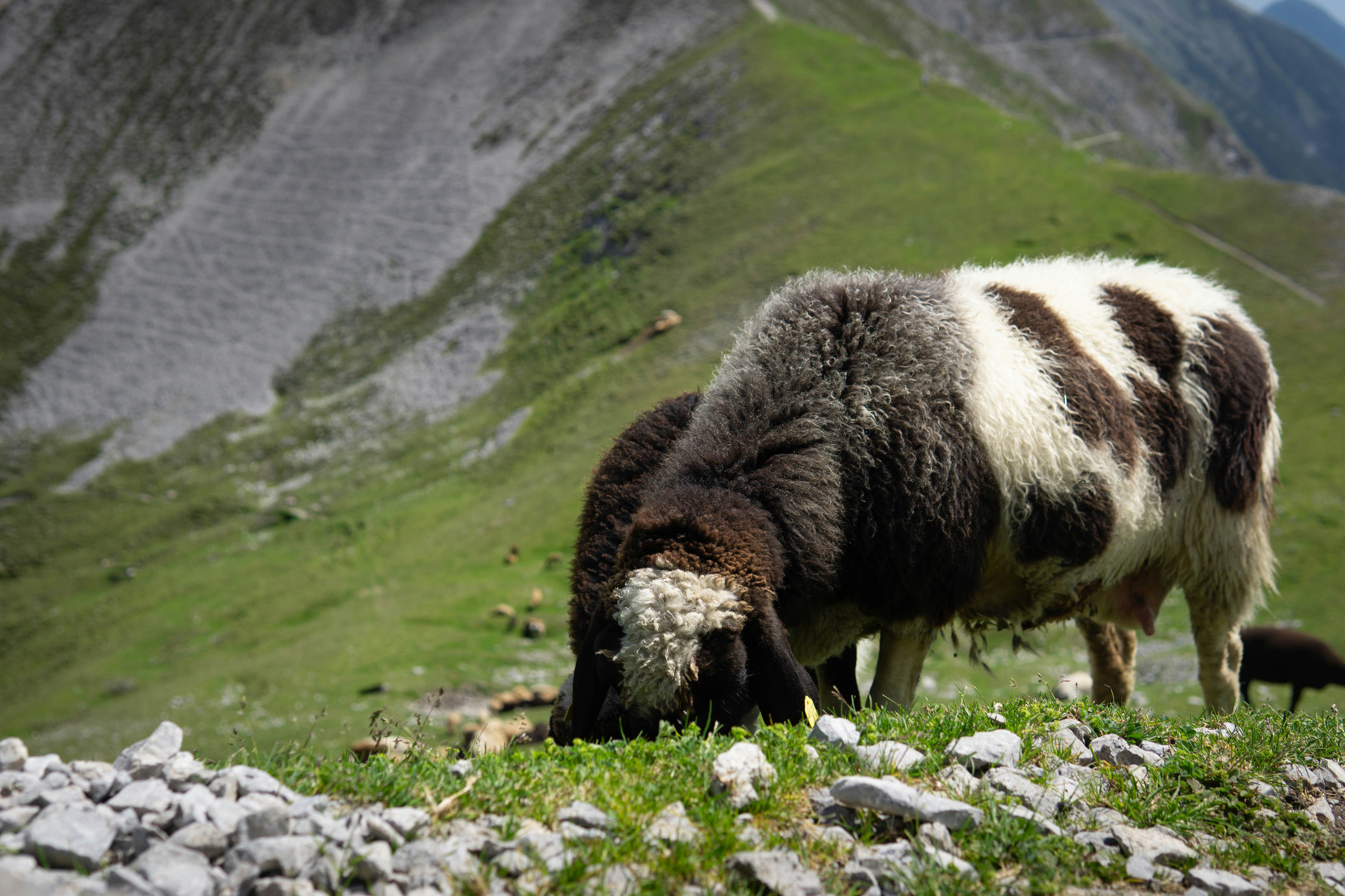 Photo by rafa_jimenez