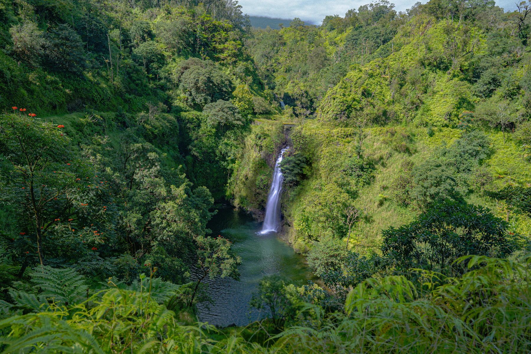 A tall waterfall dropping into a jungle pool, East Maui rainforest