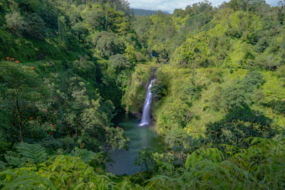 Road to Hāna adventure with breakfast and lunch
