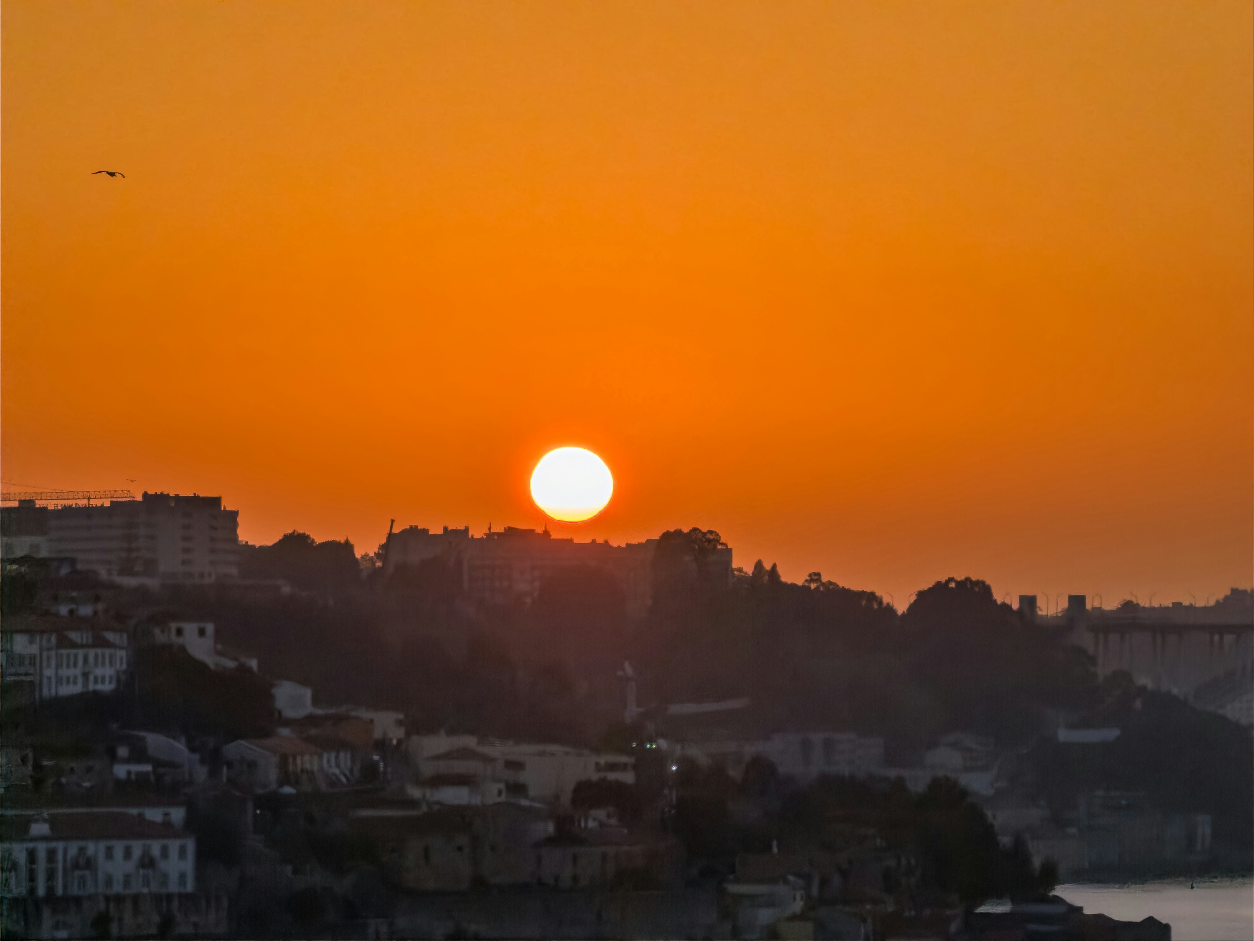 Photo by eddiepipocas