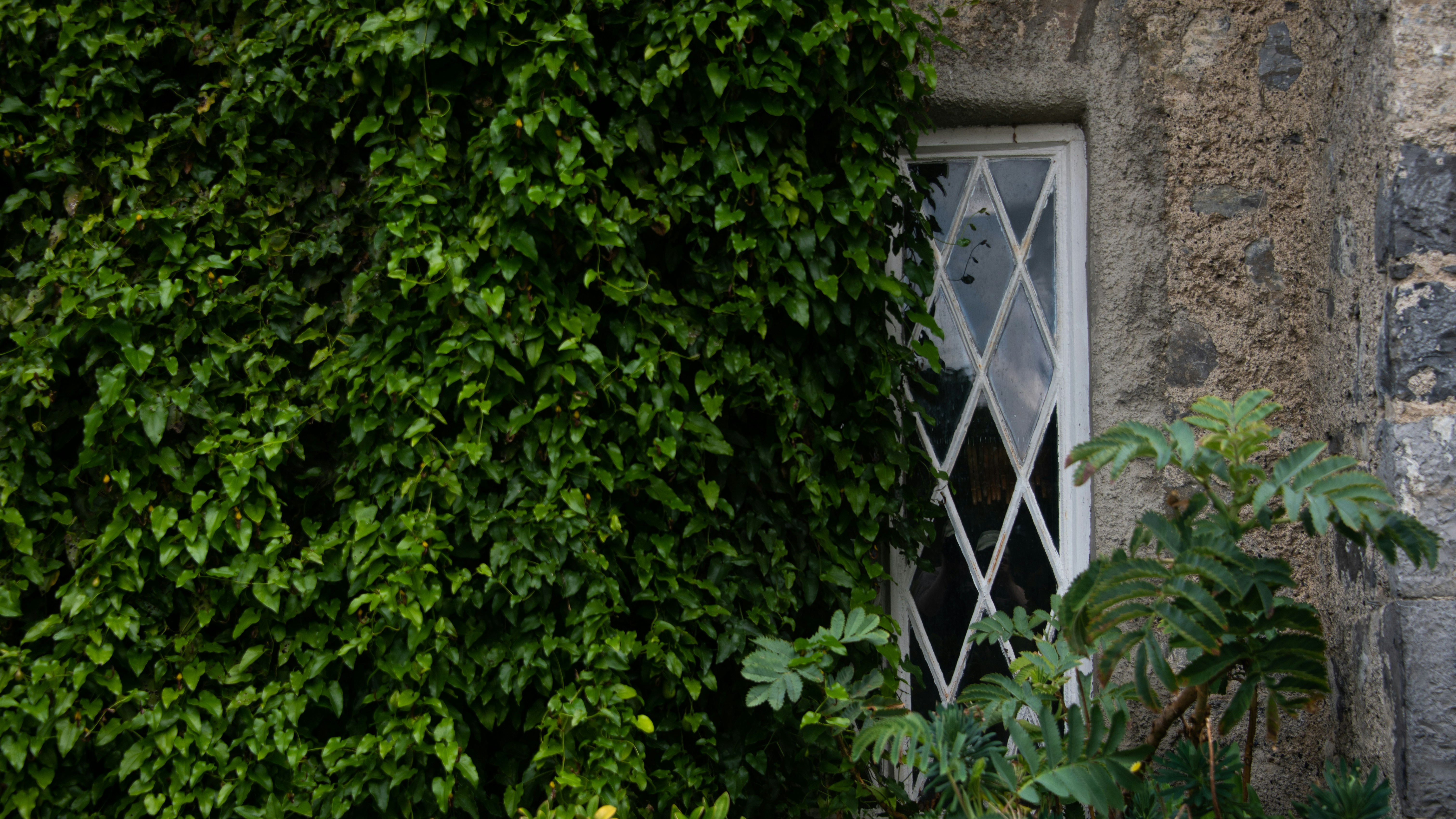 Photo by karl3kirstin