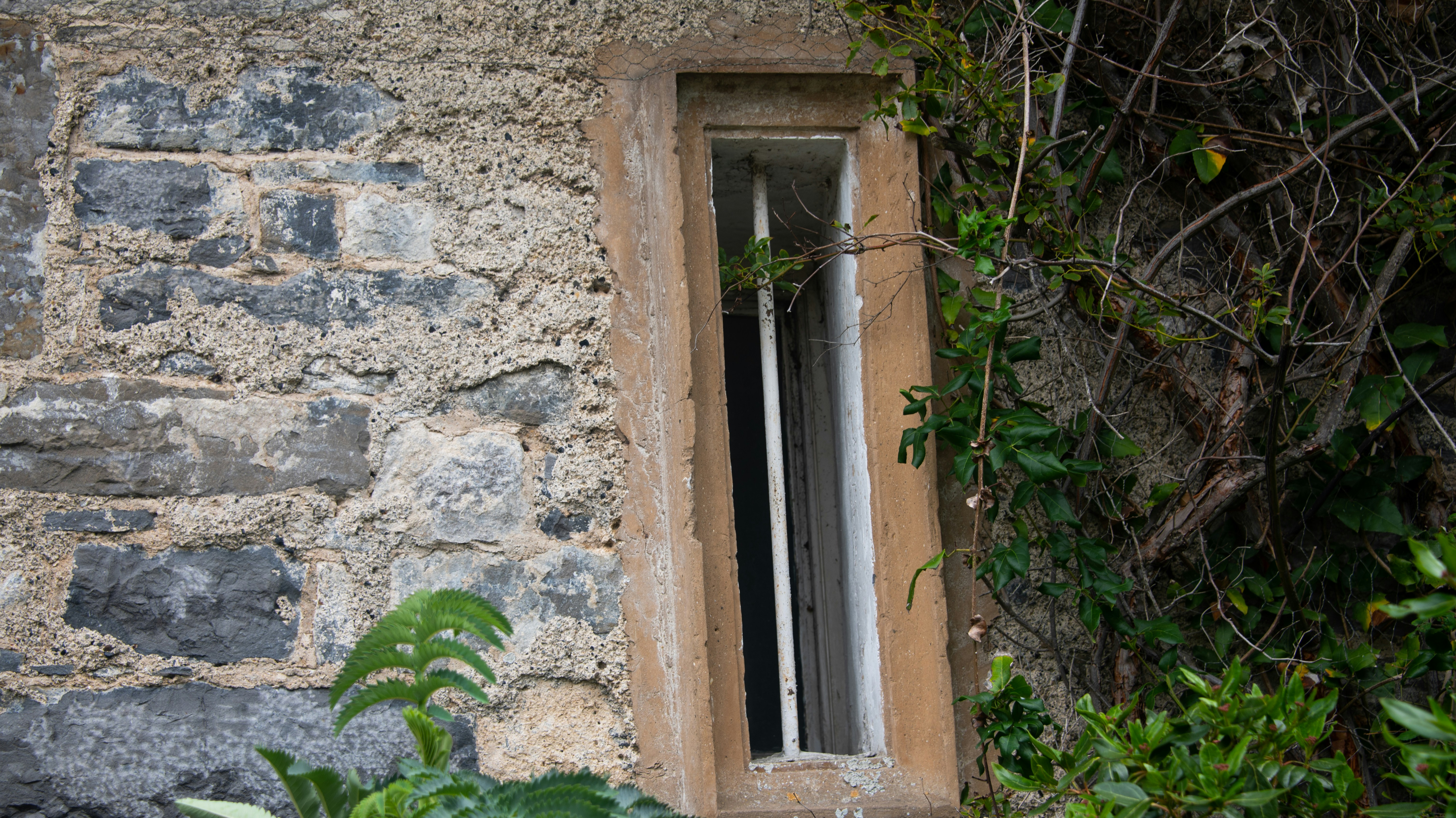 Stone wall with an old window and overgrown vines