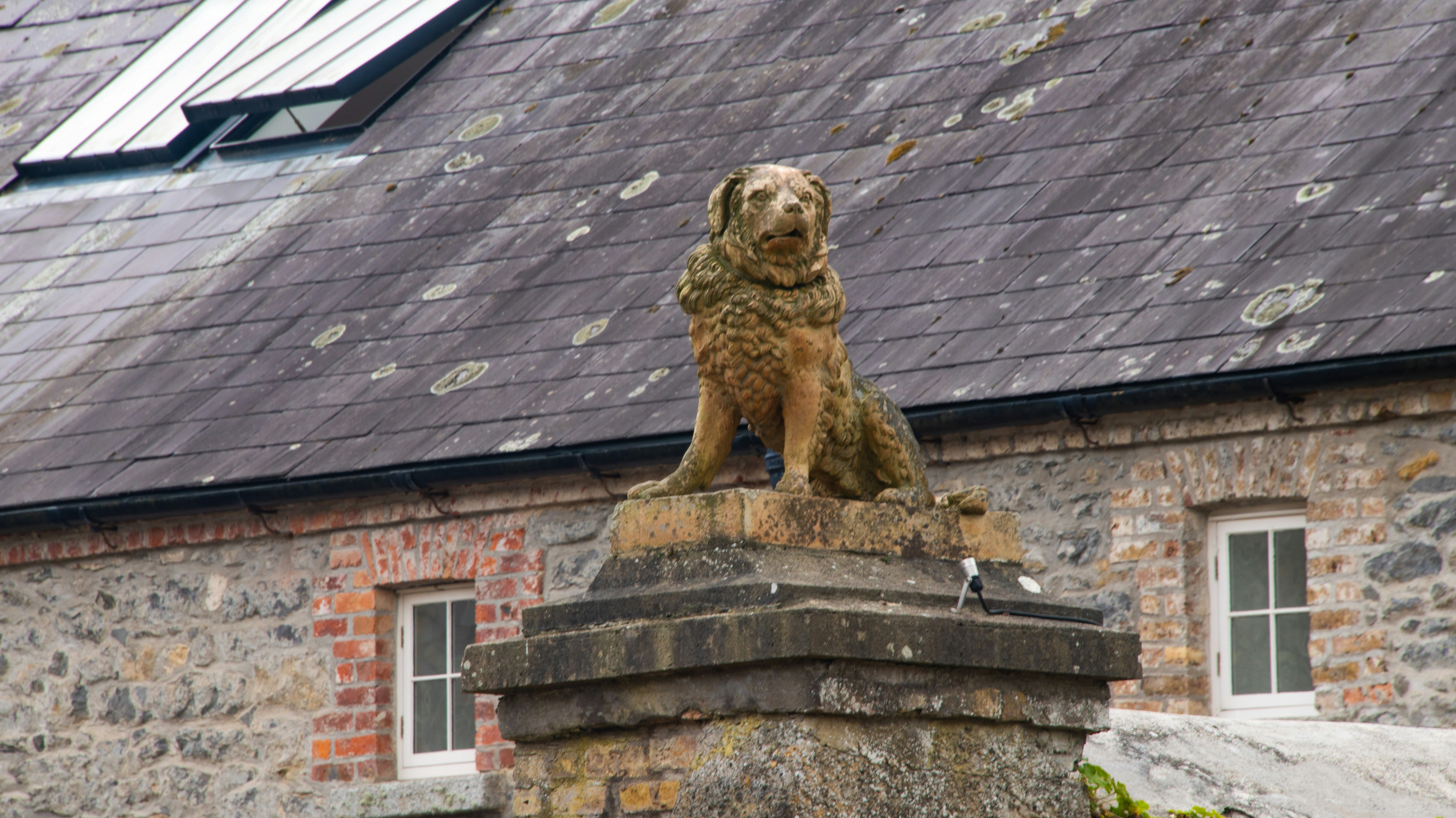 Stone dog statue sits on a pillar outside pedestal.