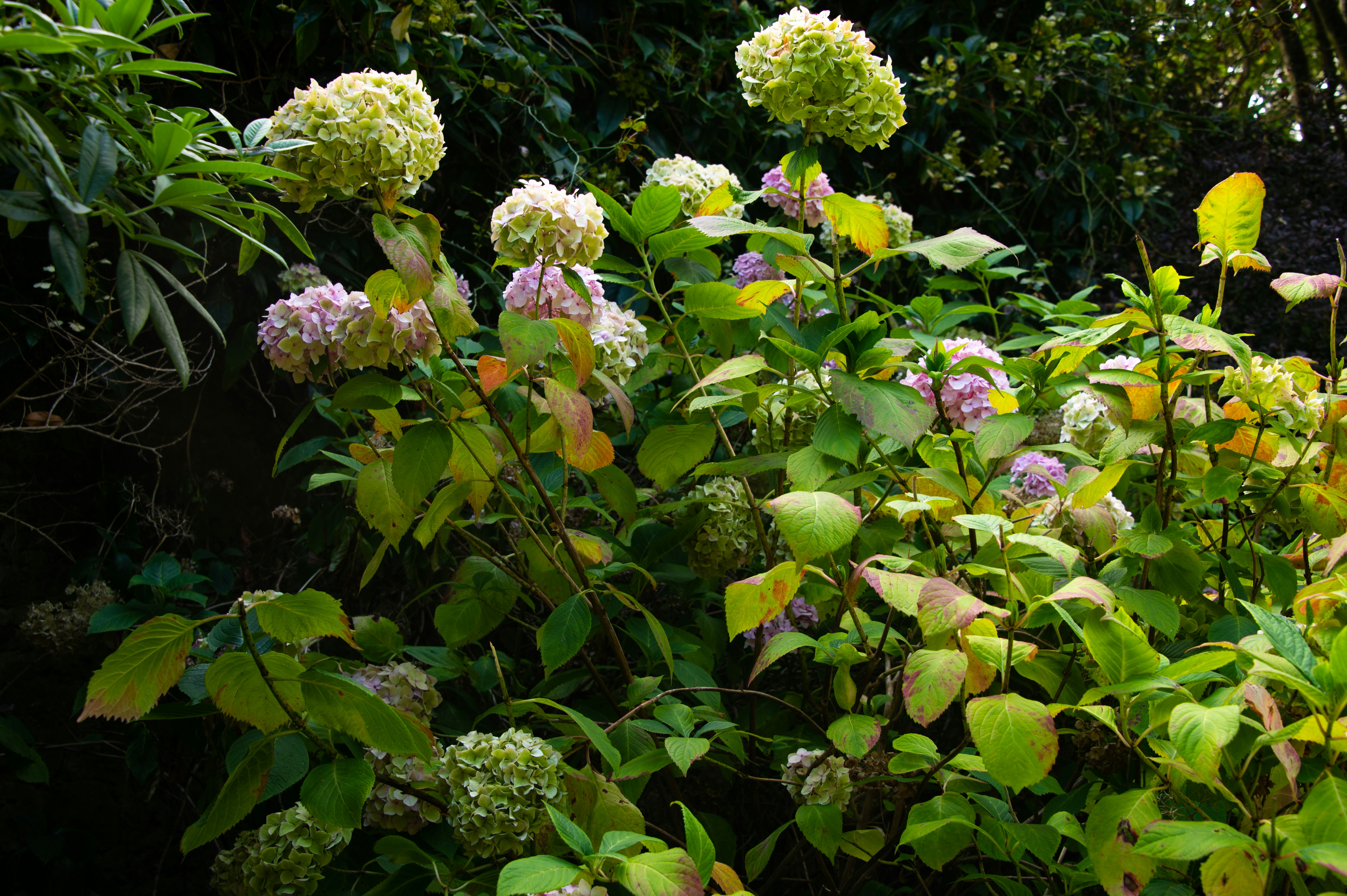 Photo by karl3kirstin