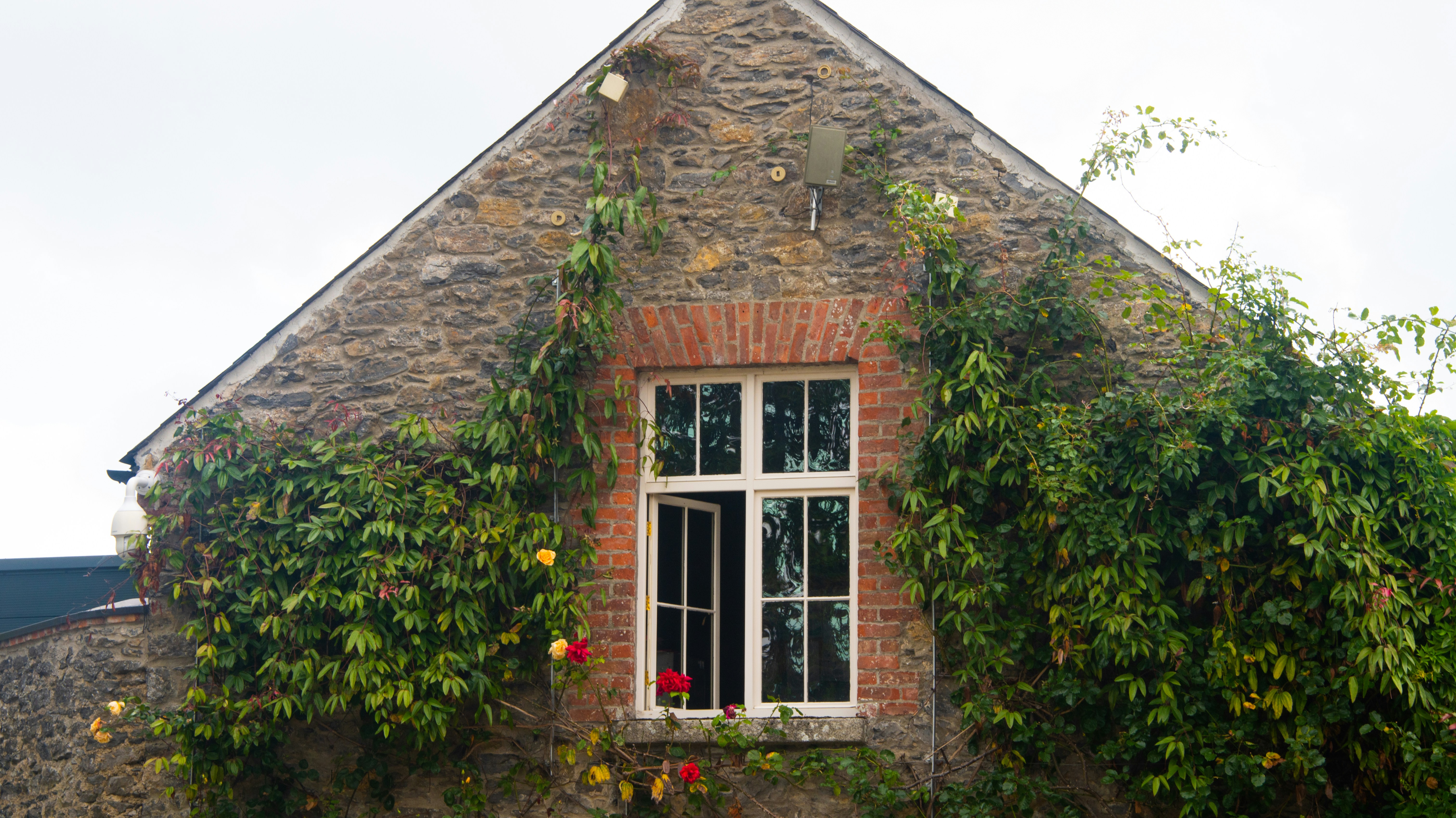 Photo by karl3kirstin