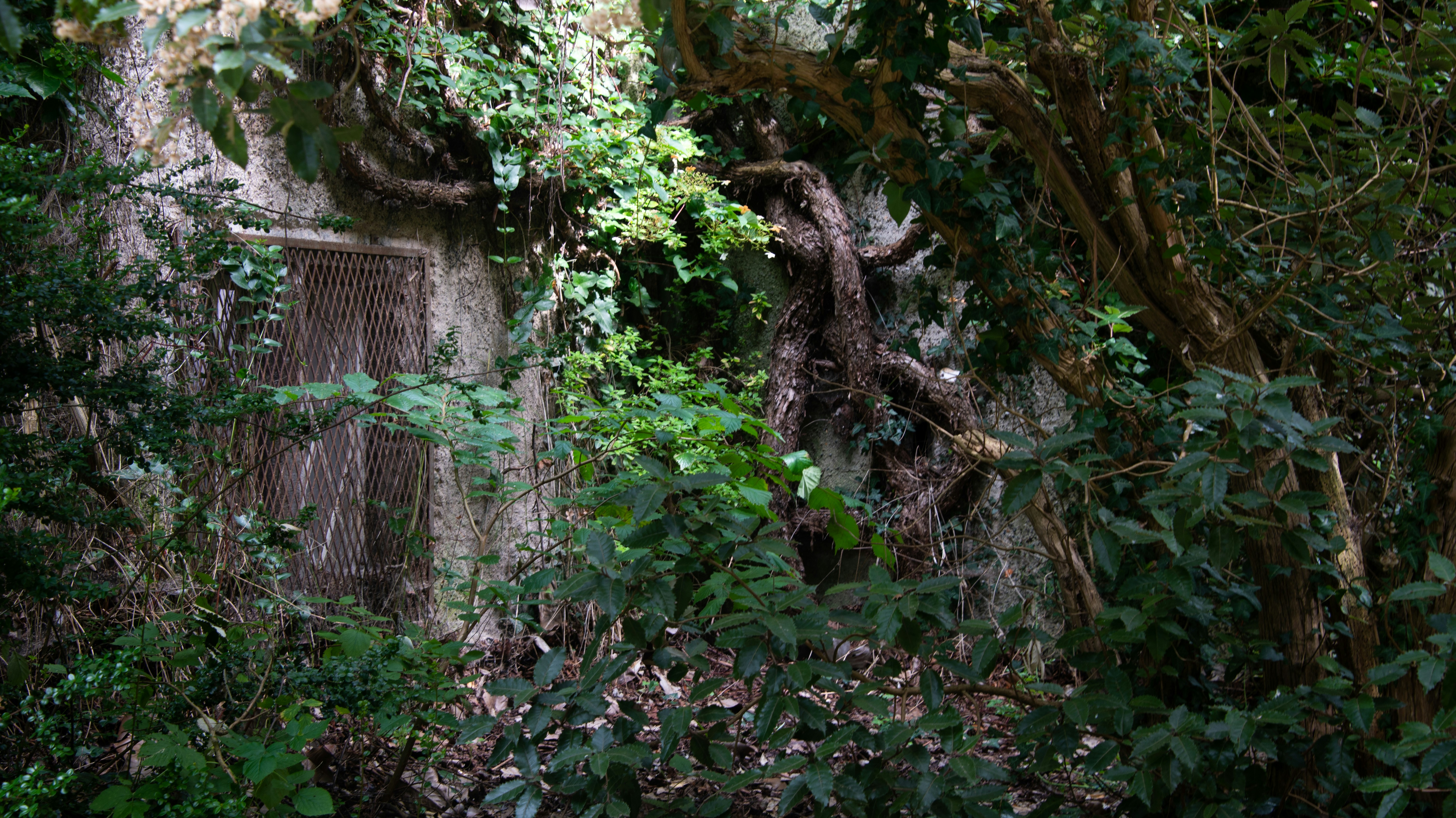 Photo by karl3kirstin