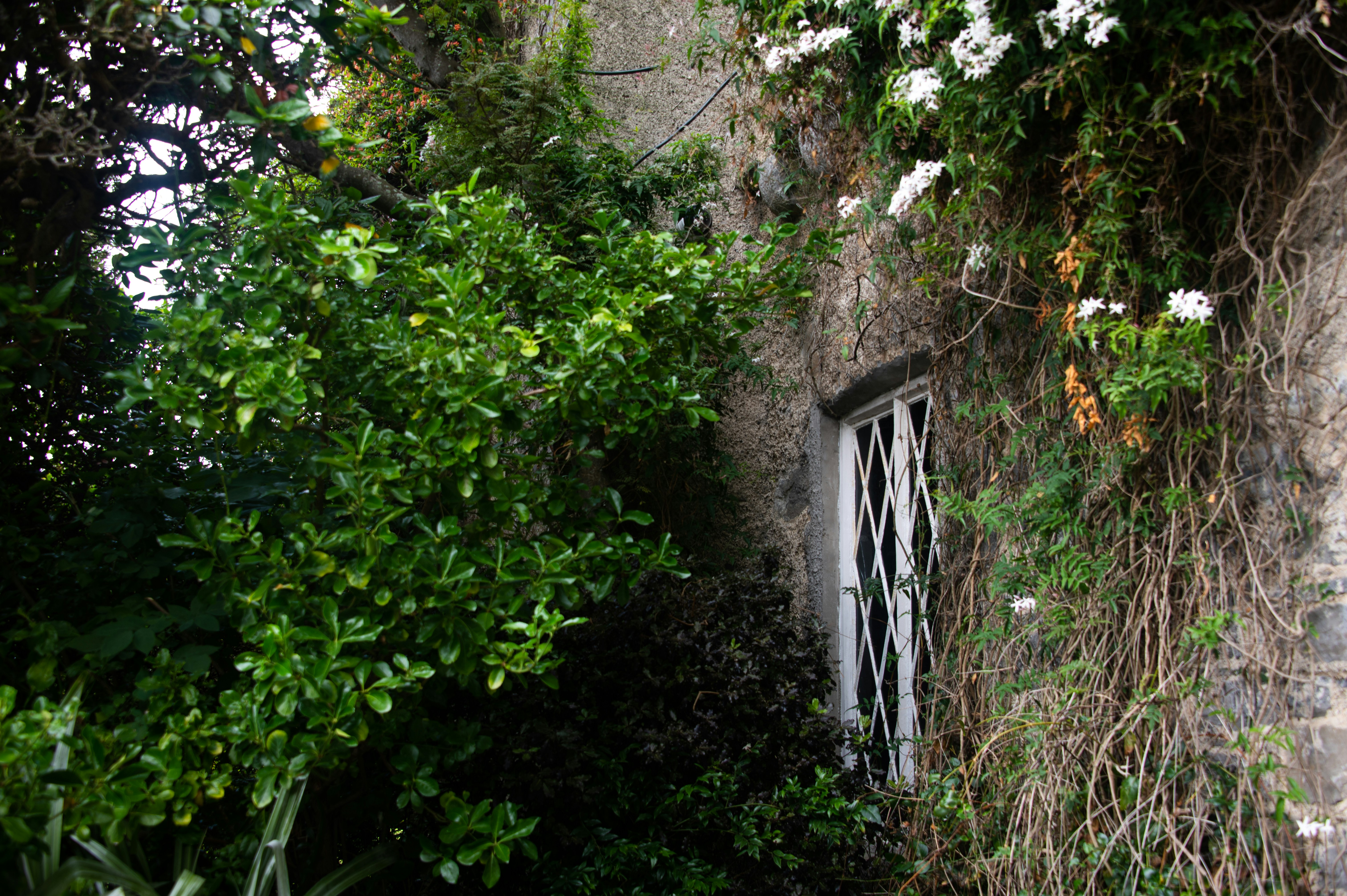 Photo by karl3kirstin