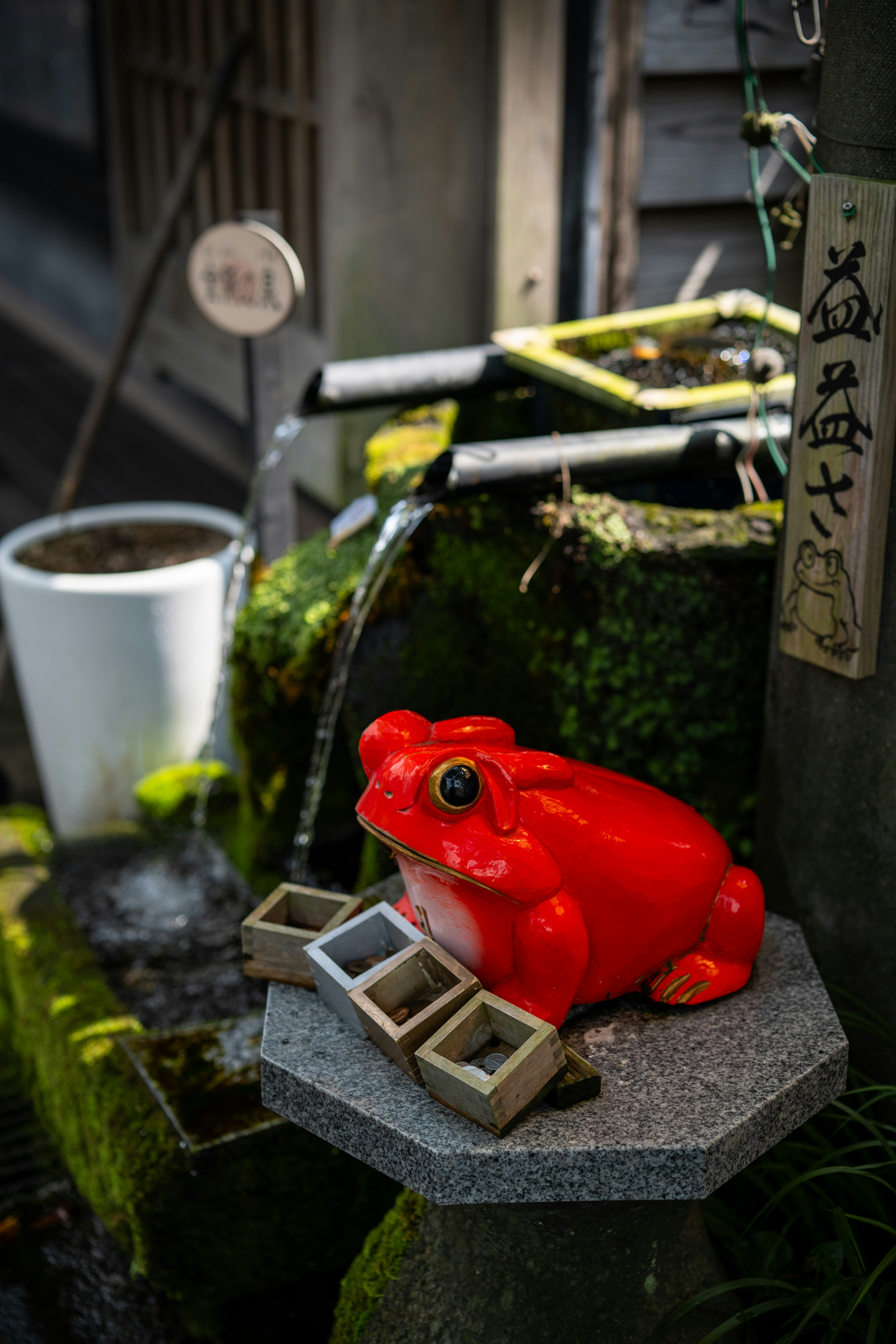 비바샘 AR 동물도감, image size:3000x4500