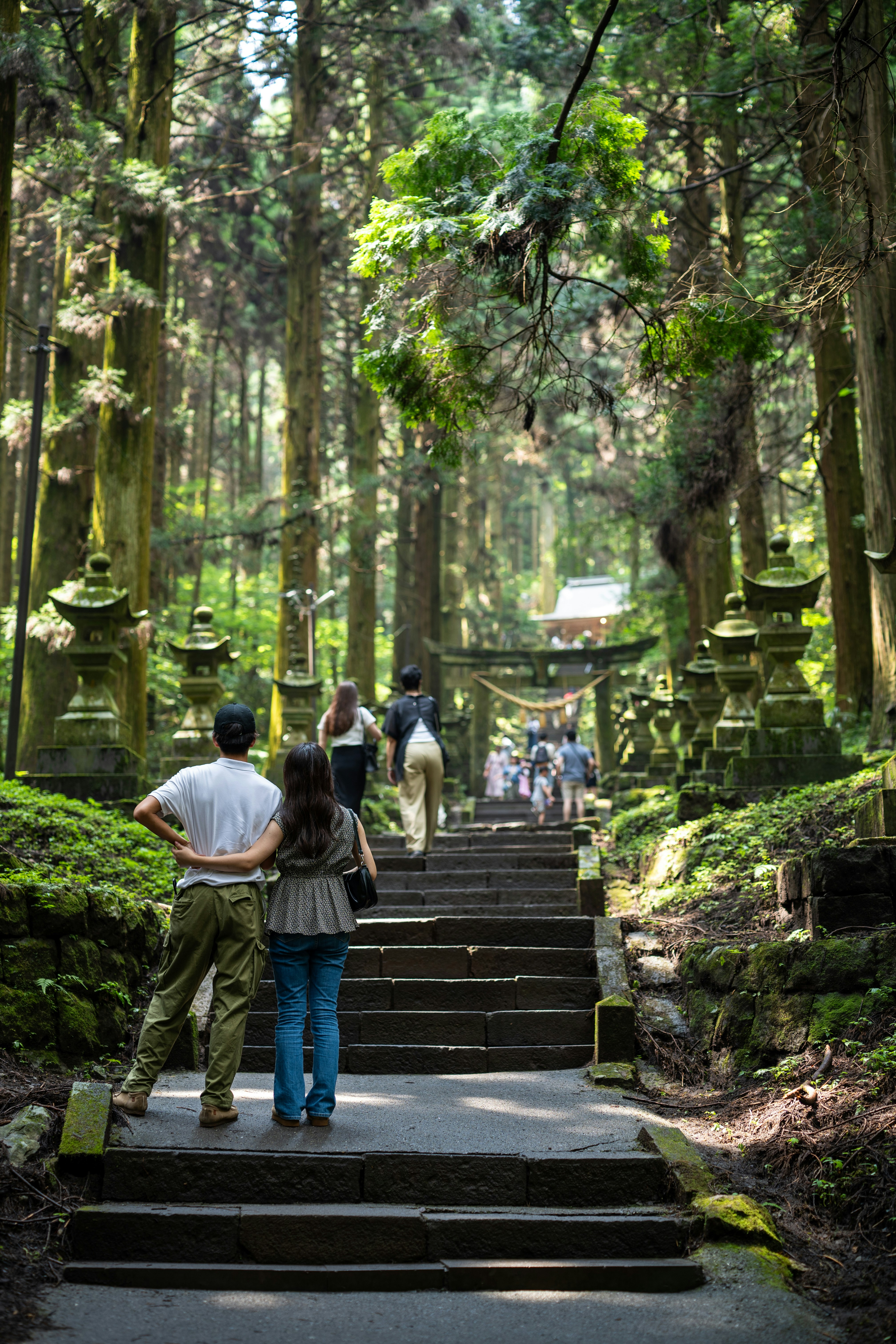 forest retreat guide