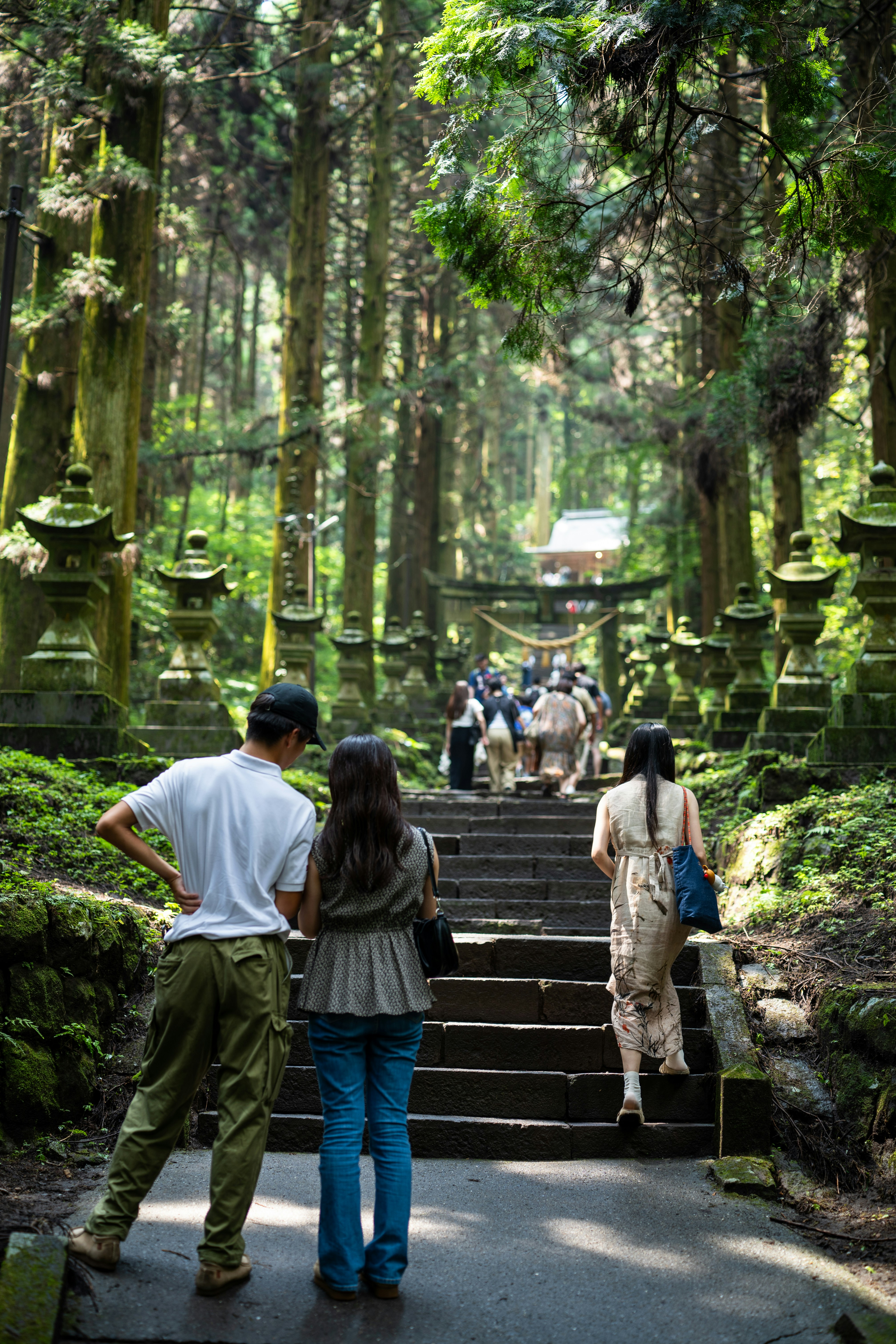 Eco-friendly travel in Japan