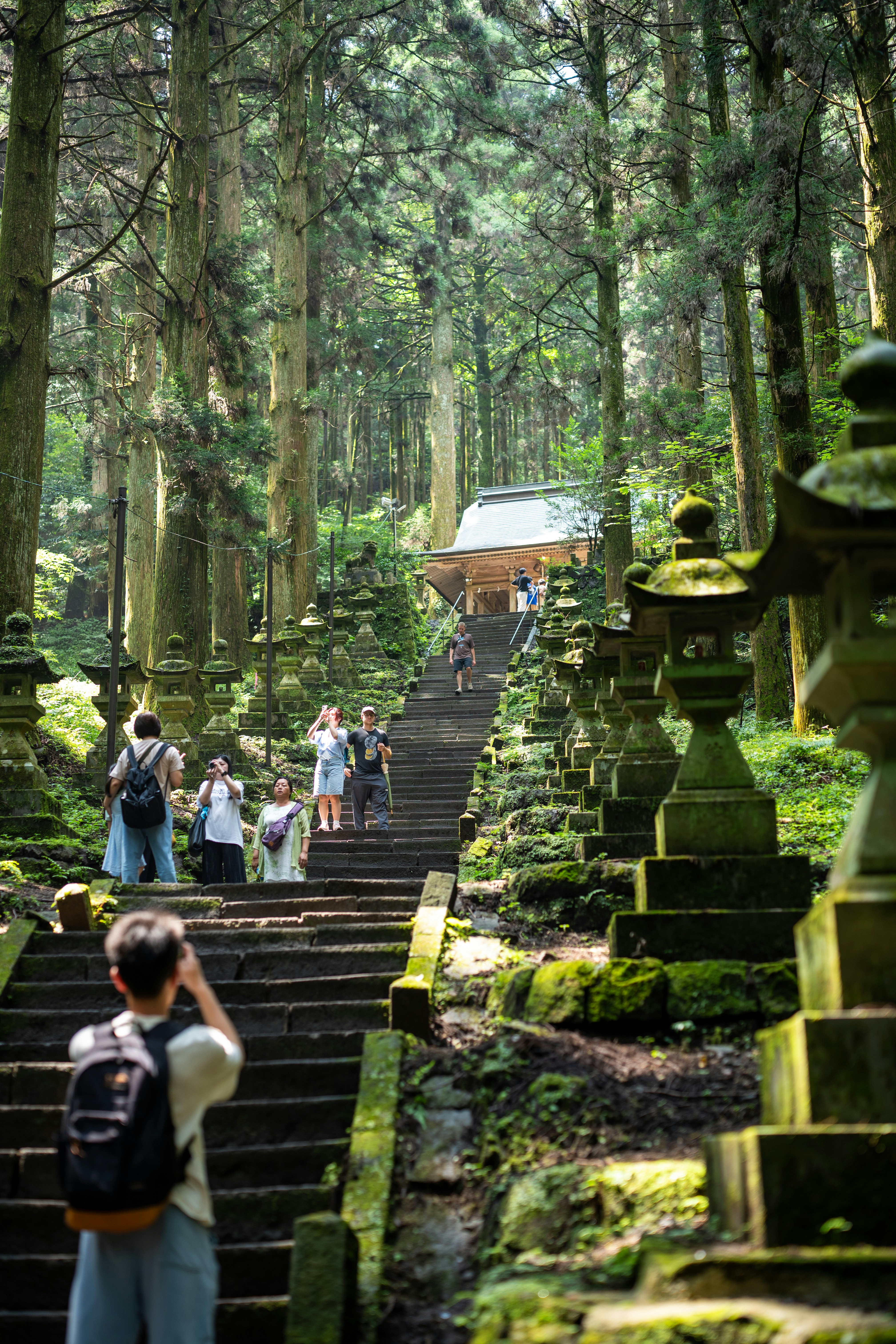 Travelers enjoying forest immersion in Japan